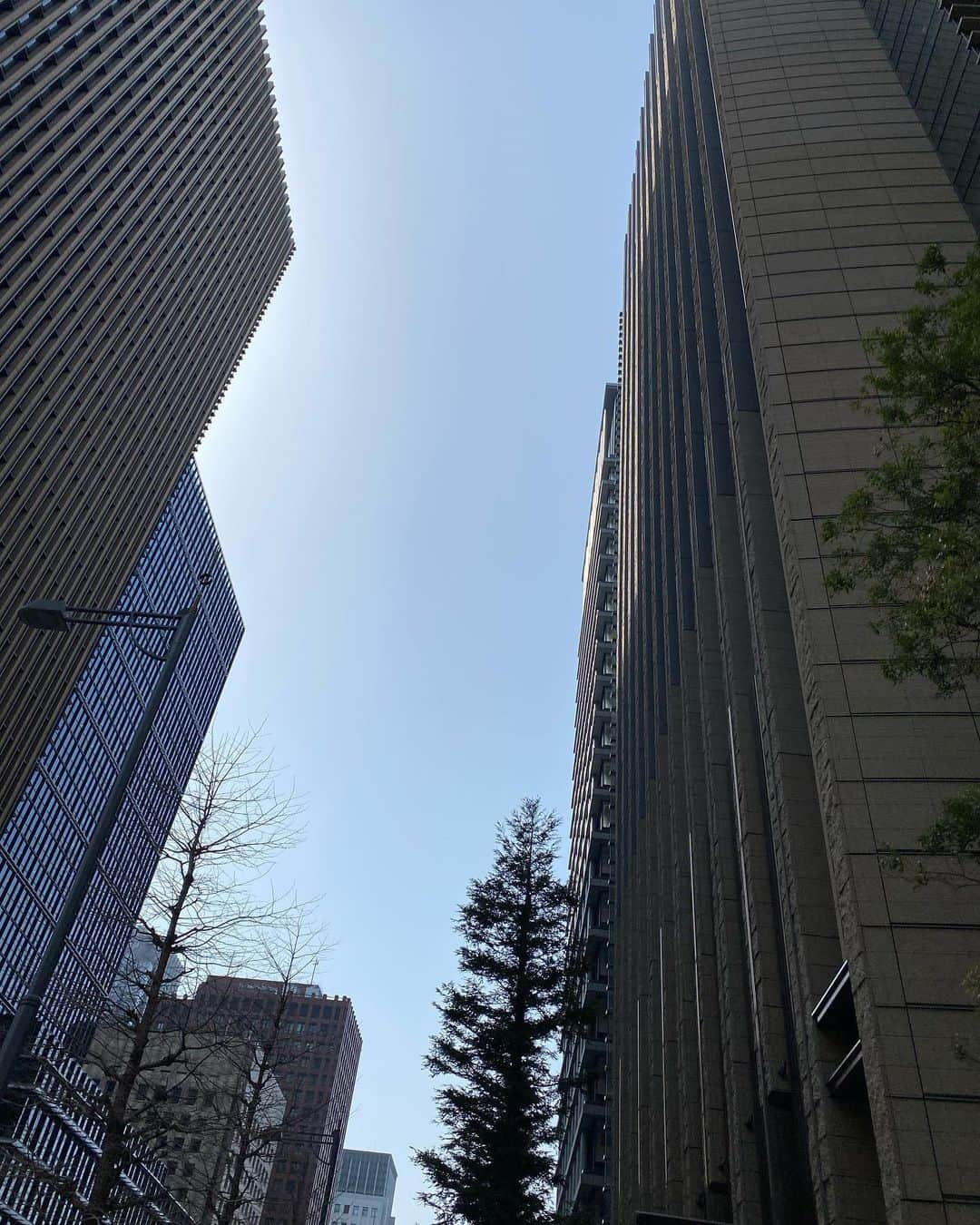 檜山沙耶さんのインスタグラム写真 - (檜山沙耶Instagram)「とある日の空。日中暖かい日も増えて、お散歩するのが楽しい。」3月26日 11時31分 - sayahiyama