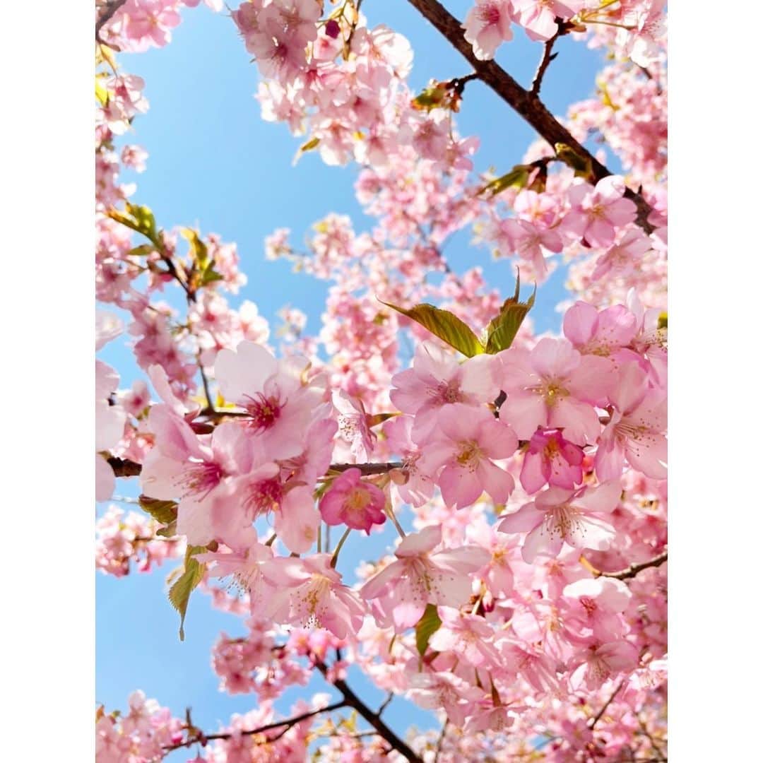 優宇さんのインスタグラム写真 - (優宇Instagram)「🌸🌞」3月26日 16時12分 - yuustagram719