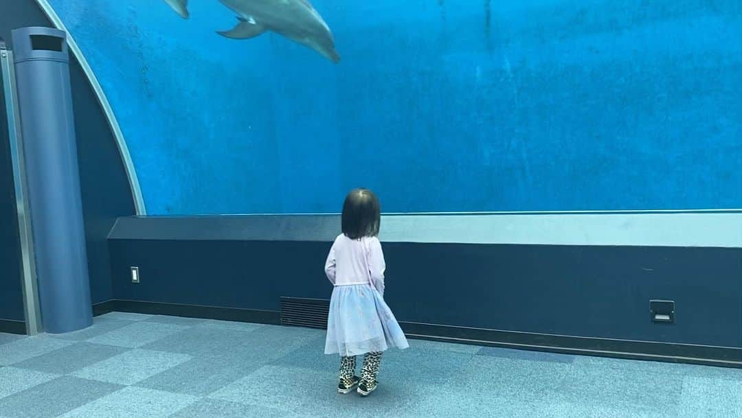 YOPPYのインスタグラム：「ありがと イルカさん」
