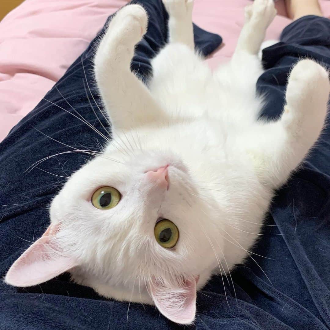 田中めいのインスタグラム：「👀🫧」