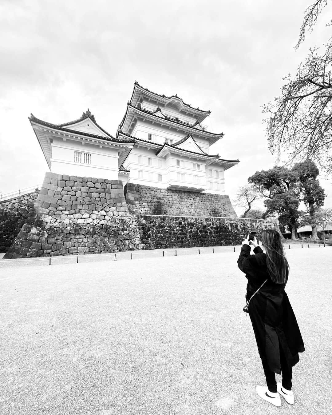 AILIのインスタグラム：「小田原城🏯  神奈川出身のくせに初めて中に入りました🥷 戦国時代の日本の歴史を見て周り 天下を取ることに粉骨砕身した主将たち。  この頃の世界の大きな心配事と重ね合わせてしまい ここまで発達した文明社会での残酷な争い事の 不必要さにため息が出ました😮‍💨  どんなことにも置き換えられるけど、、、 身勝手な私利私欲はいつの時代もどんな些細なことでも因果応報。欲しいあまりに周りが見えなくなってしまうことはとてもとても恐ろしいことです。。。涙  そして桜の木がたくさんの小田原城。 五分〜七分咲きの桜がとてもきれいでした！ 満開の時にも行ってみたーーい🌸  #小田原城 #odawaracastle」