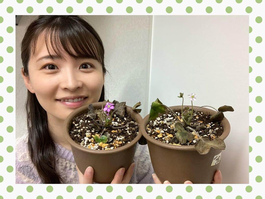 田中美都（気象予報士）のインスタグラム