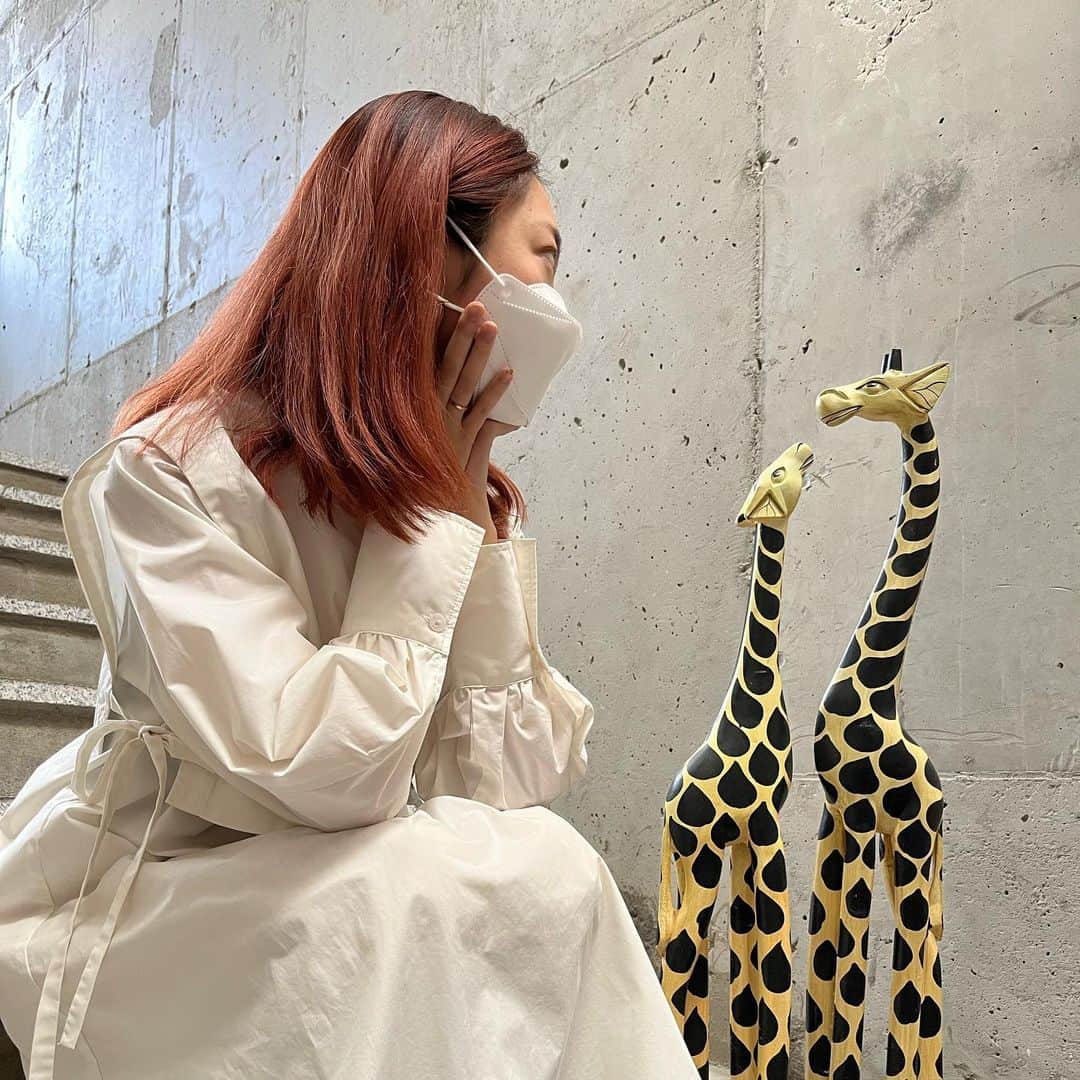 のインスタグラム：「안녕 🦒  韓国生活スタートいたしました。 隔離期間も終わり、早速カフェにやってきました。 犬も歩けばカフェにあたります。 カフェ天国です。 今日は天気がよくて、人も犬もたくさんお散歩しています。  본격적으로 한국 생활 시작 되었습니다. 시간 되시면 커피 한잔 (커피보다 주스를 좋아합니다만) 해주시길 바랍니다.  잘 잘 부탁합니다🤍」