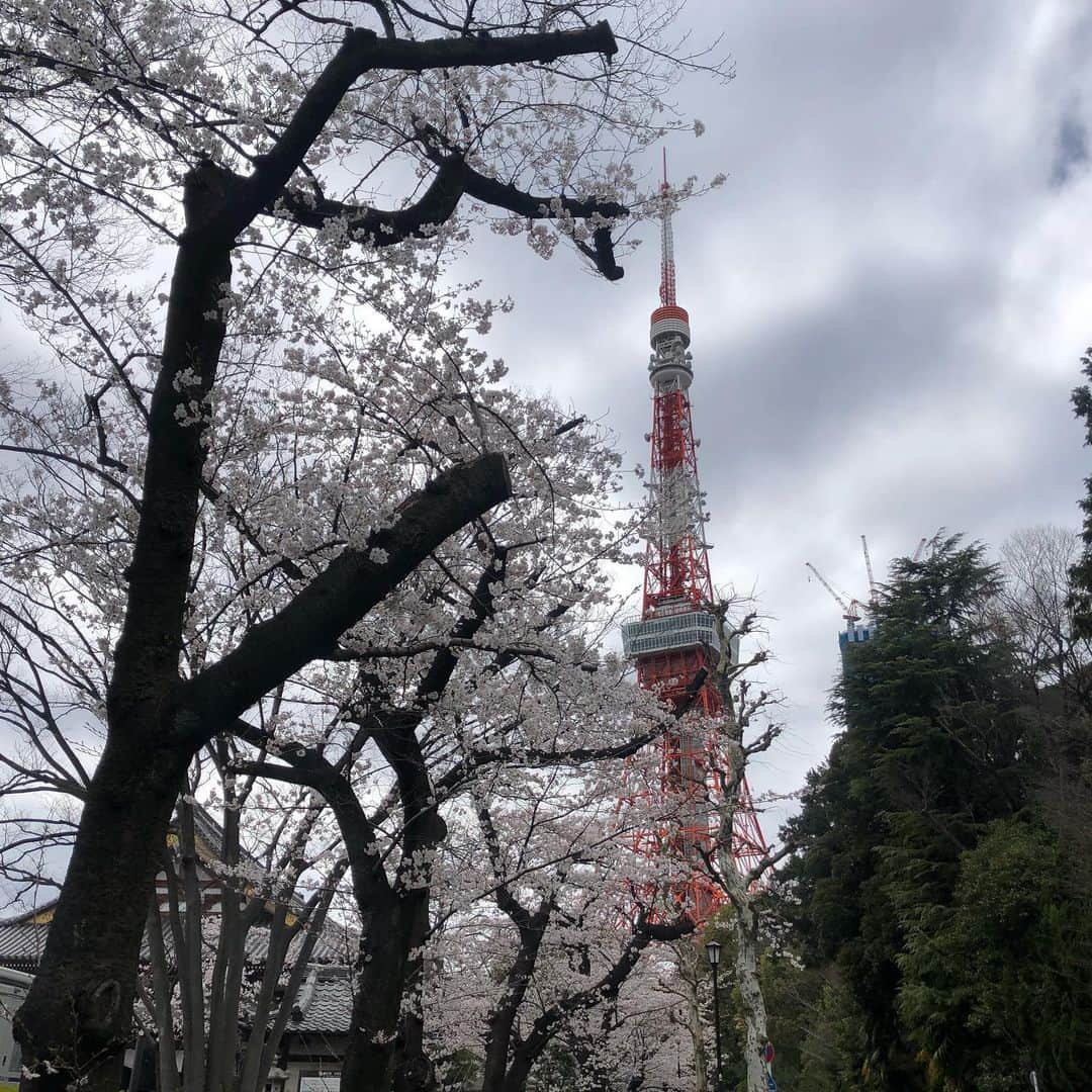 沖玲奈さんのインスタグラム写真 - (沖玲奈Instagram)「ちょっと曇りだったけどお花見しつつ、8km走ってきました🏃‍♀️💨🌸 マラソン終わってから運動不足が続いてたので徐々に戻して行かないとなー！ 今年はレースは特に予定してなかったけど、狙えるものならもうちょいタイム縮めたい欲が出て来てw #北海道マラソン エントリーしてみました。笑  当たるかな〜🍈 運動前後の水分補給は#fijiwater で🌺この時期は花粉もあって肌の乾燥もいつも以上にするので、多めに水分取れるように、仕事中も含め日常的にこまめに飲んでます✨ お水もやわらかくて飲みやすく、常に冷蔵庫にストックしてるくらいFIJIファンです😌😌💓 @fijiwaterjapan  #tokyo #fiji #fijiwater #フィジーウォーター #run #runner #running #フルマラソン #training #routine #お花見」3月27日 14時31分 - reinaoki2508