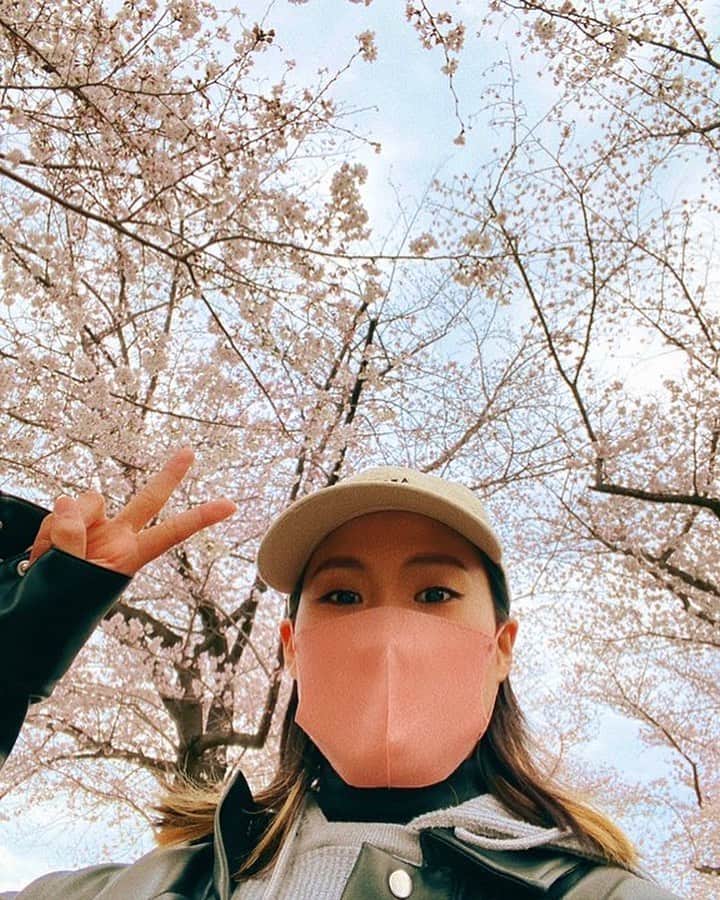 HAYAMIのインスタグラム：「これだからやっぱり春はありがたい🌸🌸🌸」