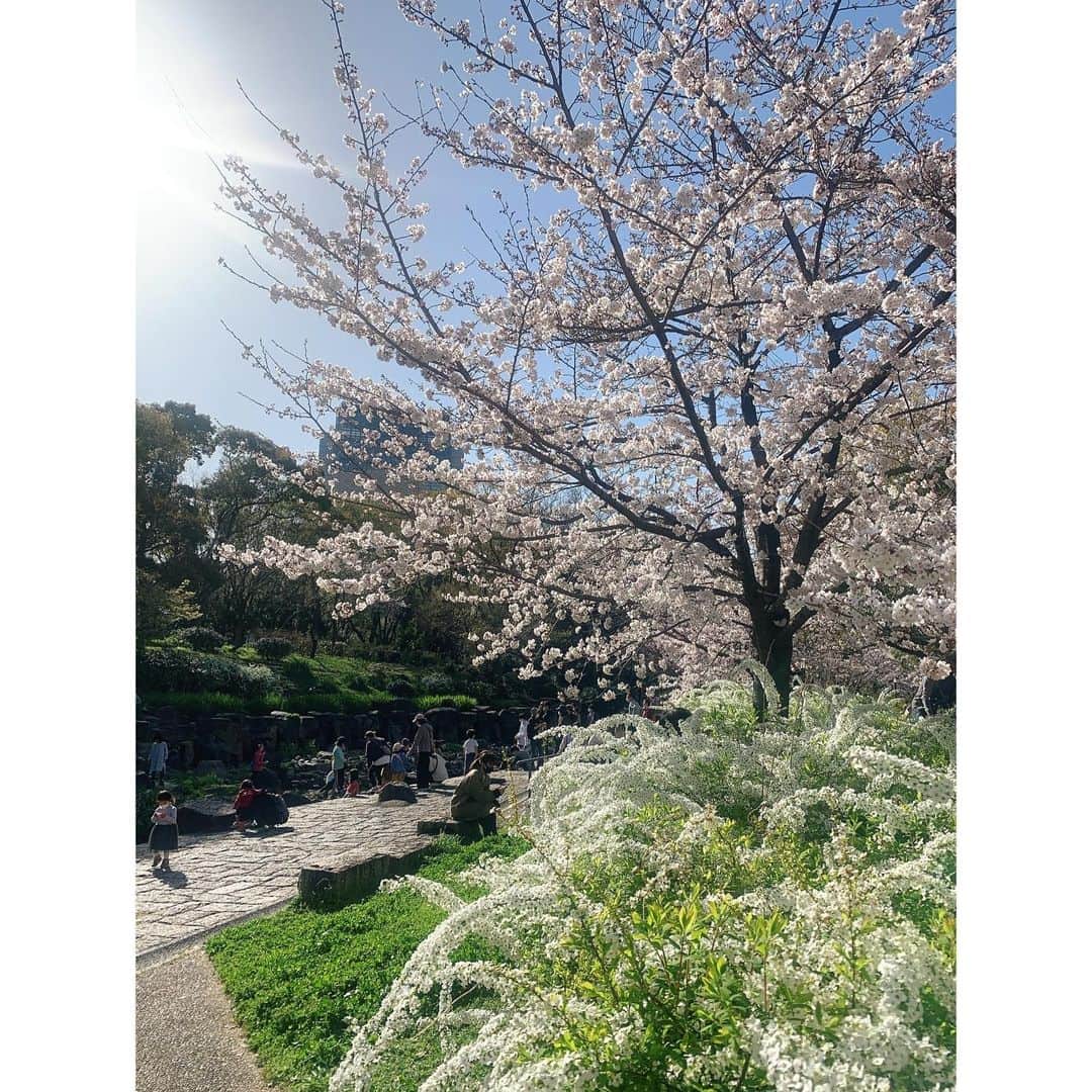 玉巻映美さんのインスタグラム写真 - (玉巻映美Instagram)「. 大阪城の桜！ とっても綺麗でした…🌸🌸 天気も良くて、気持ちよかった〜 たくさん歩いて良い運動になりました🙇‍♂️ 癒されました😍」3月27日 16時49分 - eimi_tamamaki