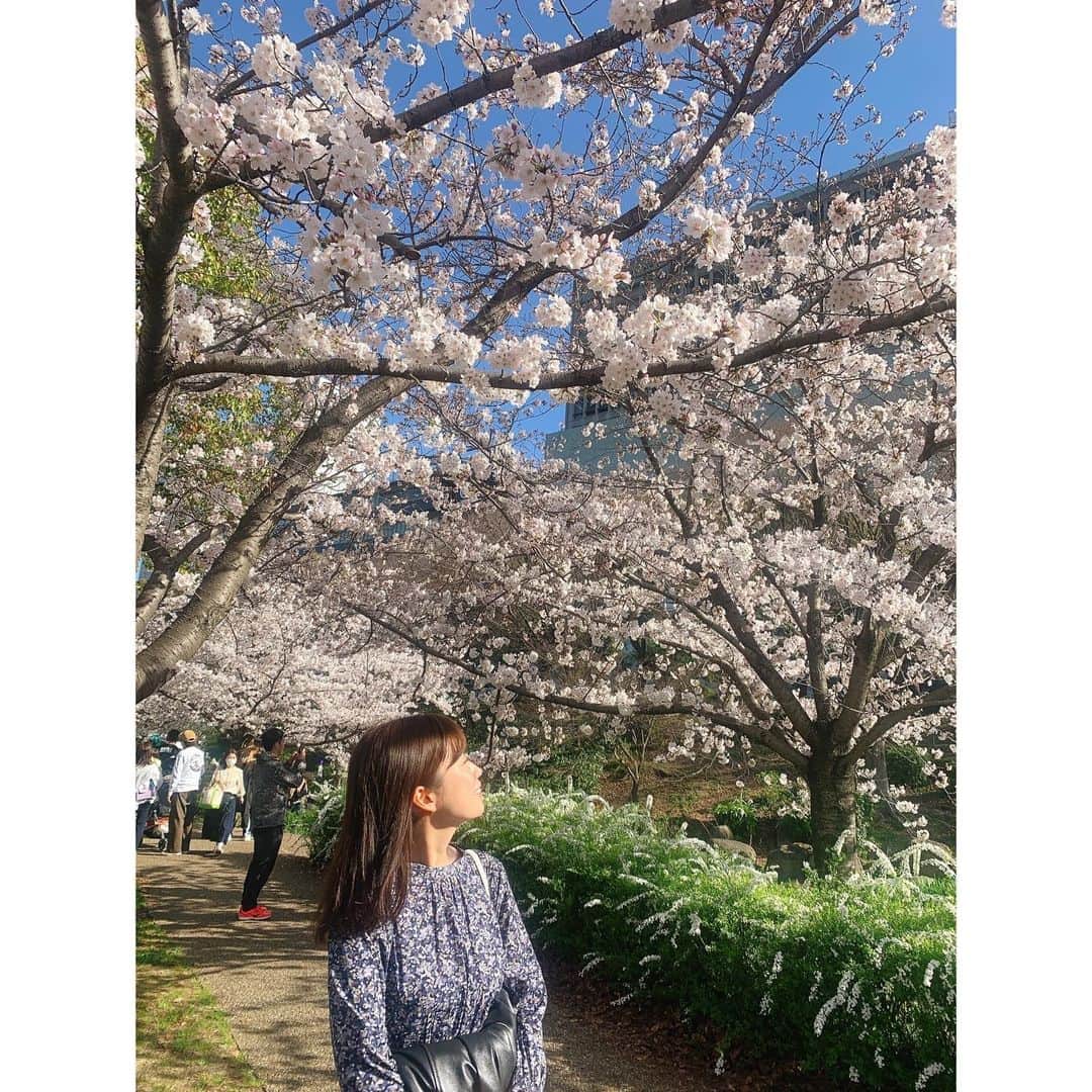 玉巻映美のインスタグラム：「. 大阪城の桜！ とっても綺麗でした…🌸🌸 天気も良くて、気持ちよかった〜 たくさん歩いて良い運動になりました🙇‍♂️ 癒されました😍」