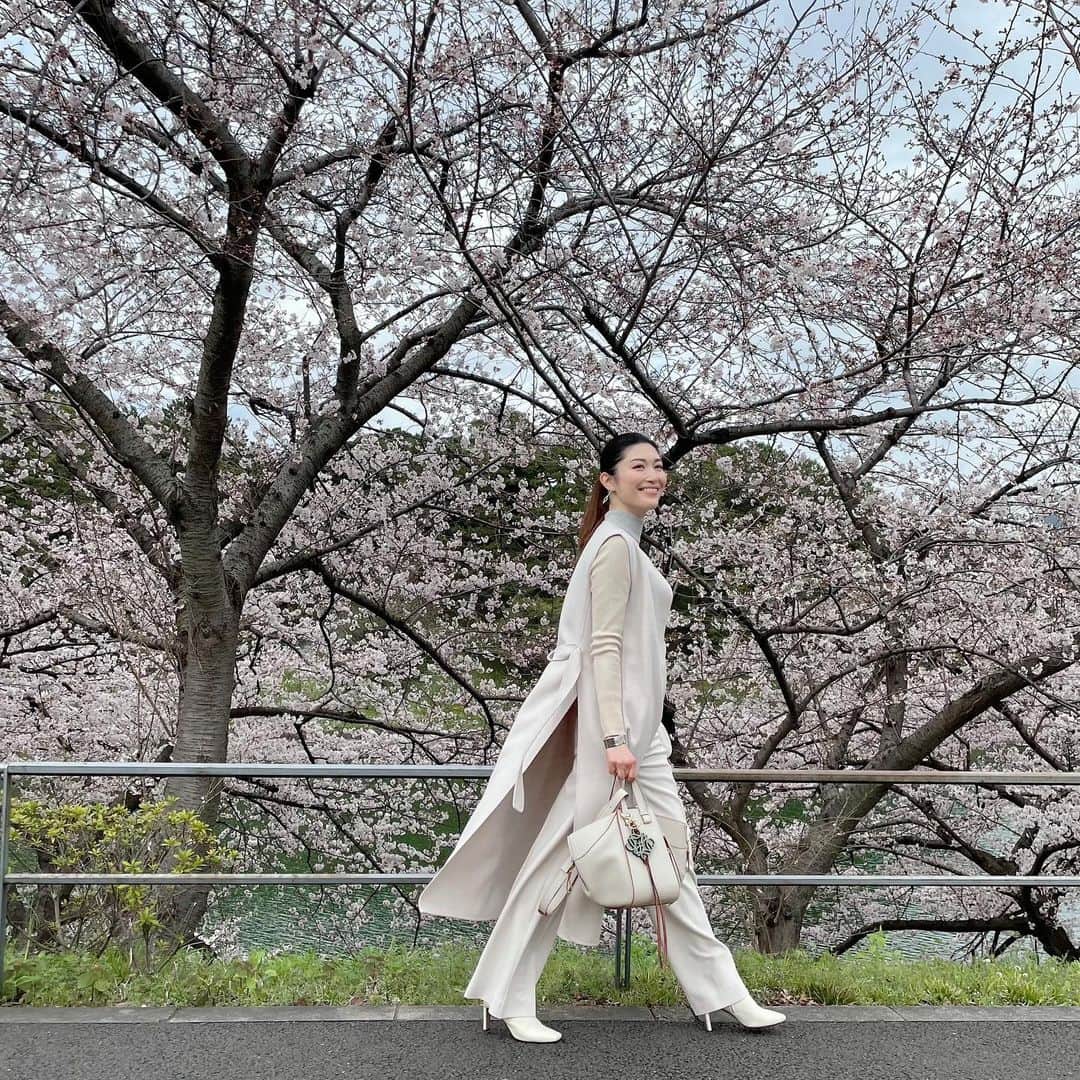 櫻井麻美のインスタグラム：「桜が満開🌸 ・ ・ #桜 #千鳥ヶ淵  #千鳥ヶ淵の桜  #ootd  #春コーデ  #ジレコーデ」