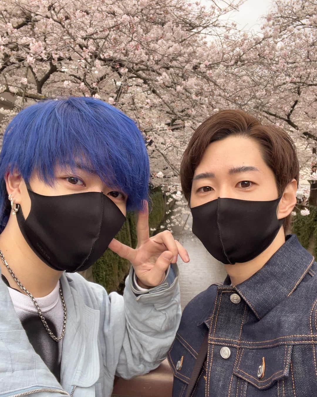 まえっさんのインスタグラム：「ロケマサとお花見行ってきた🌸 #桜綺麗でした #花粉で目がやられました」