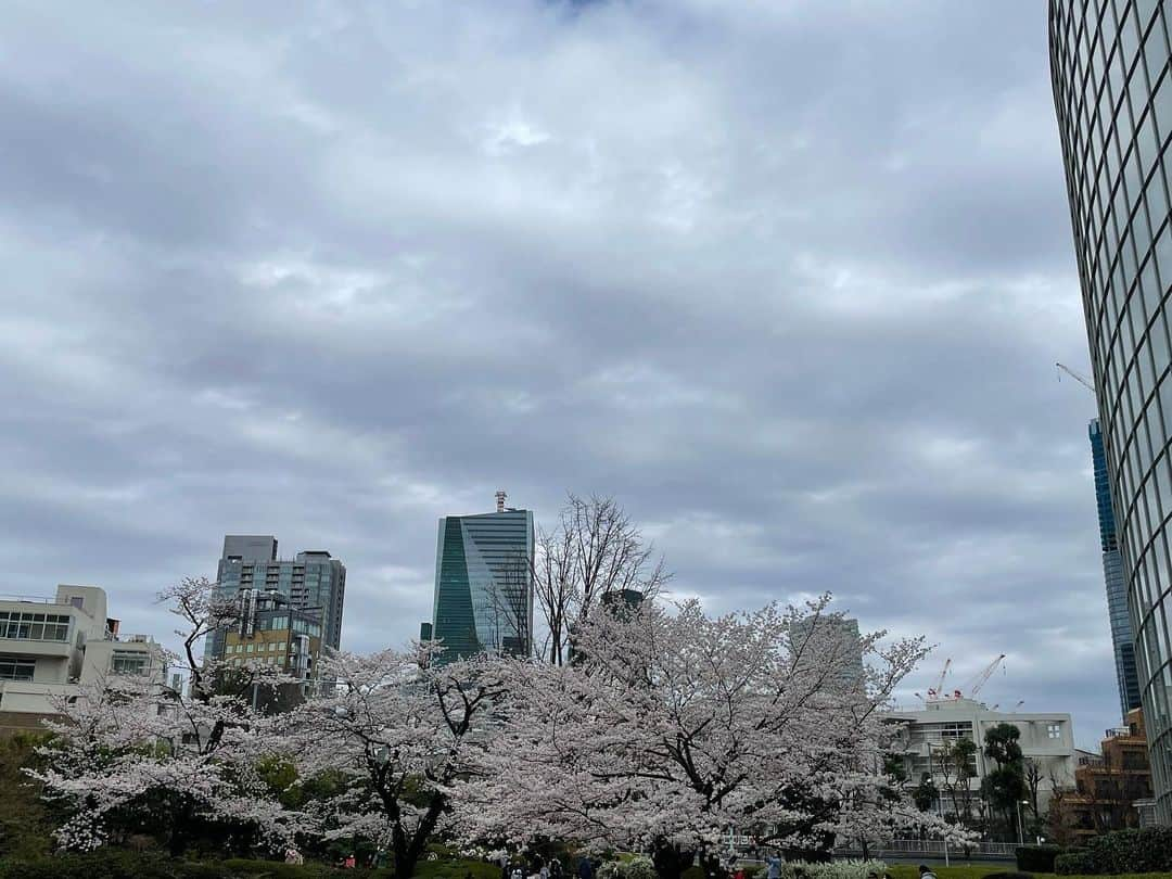 島本真衣のインスタグラム