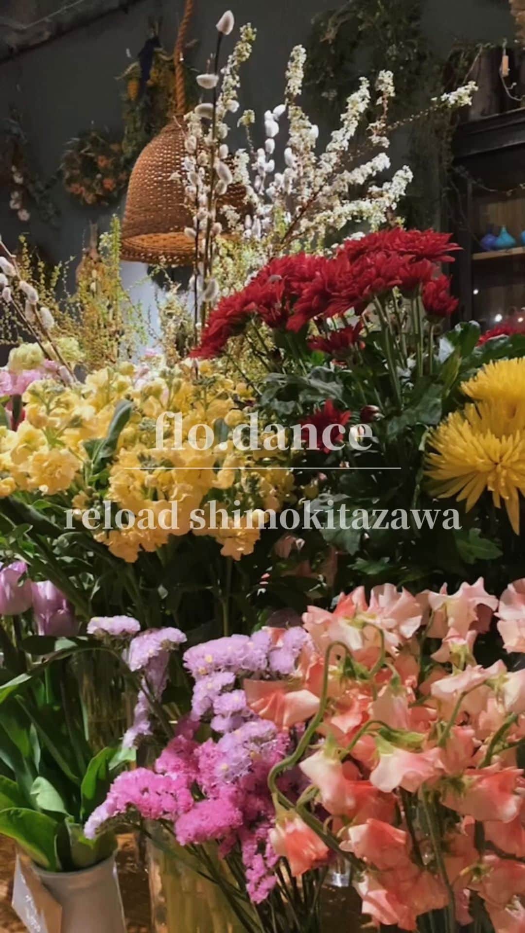 LUNAのインスタグラム