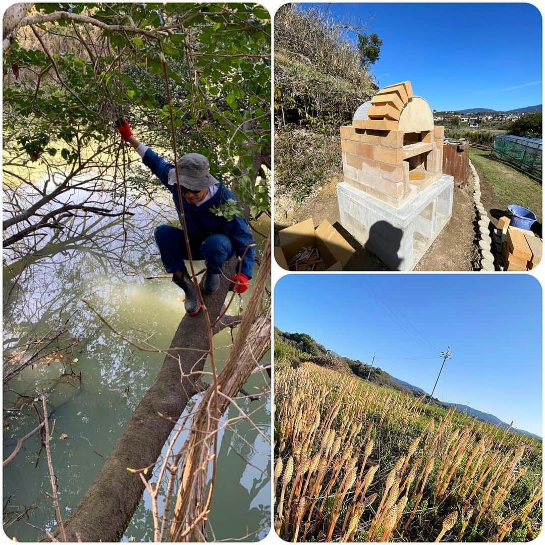 石田靖さんのインスタグラム写真 - (石田靖Instagram)「河内長野の農園アリーナ  ピザ窯作り、お手伝い #河内長野 #農園アリーナ #ピザ窯 #ピザ窯作り  #土筆の畑 #土筆の玉子とじ  #めっちゃ美味し #溜池に大木 #自然遊び #一期一笑  #石田靖」3月27日 19時39分 - yasulog