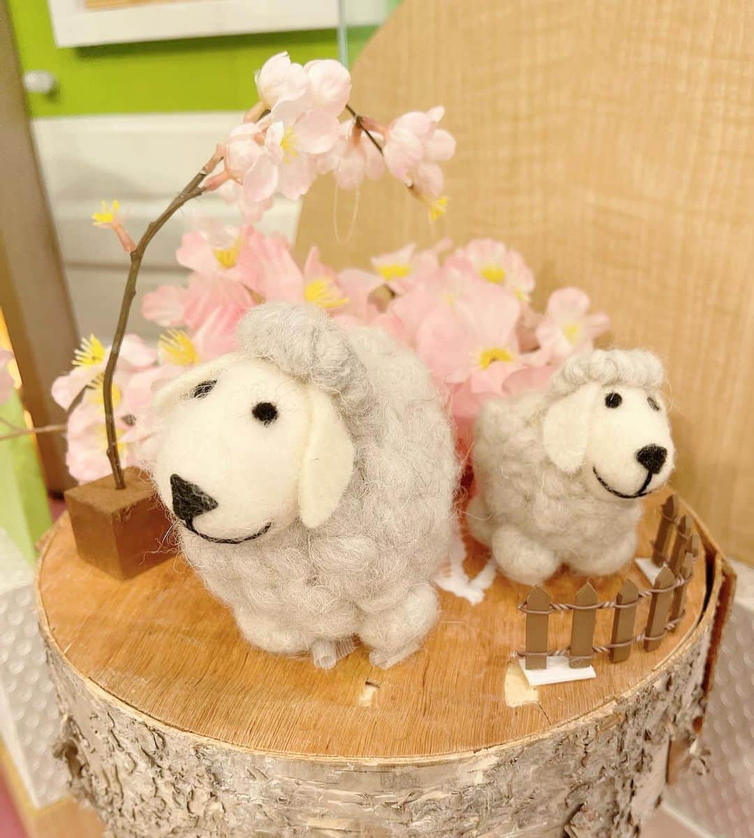 皆藤愛子さんのインスタグラム写真 - (皆藤愛子Instagram)「❤︎ この丸の中の世界すっごく好み🐑🌸🌸 #桜が1本立ててあったり #子羊の前にちゃんとフェンスあるよ #テープ見えてるのとかも可愛い」3月28日 17時10分 - aiko_kaito_official