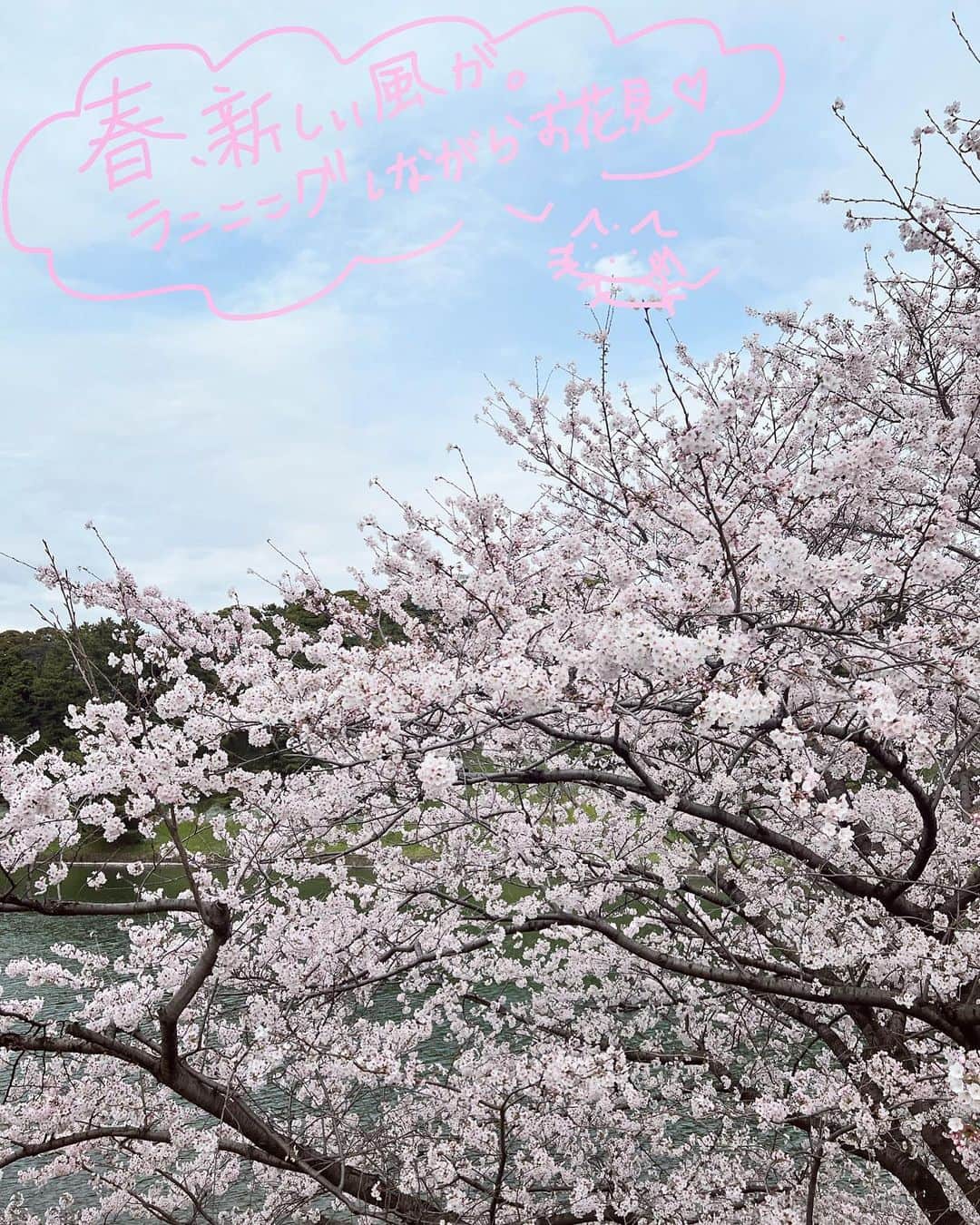 尾崎由香さんのインスタグラム写真 - (尾崎由香Instagram)「🌸　#桜　#さくら　#ランニング　#おざぴゅあ日記　#3月」3月28日 16時28分 - ozapure15