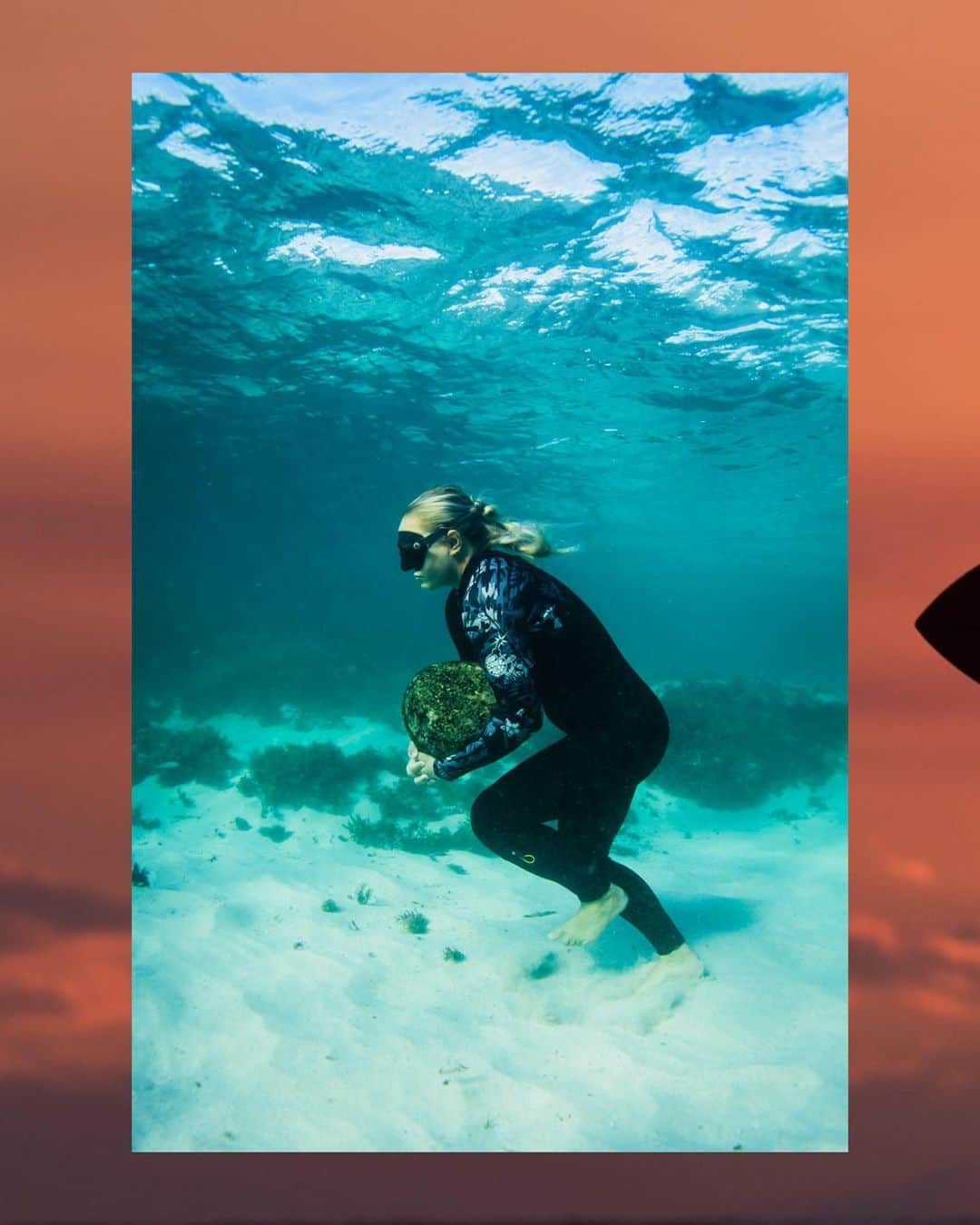 フェリシティー・パルマティアーのインスタグラム：「A week in review with @hardwarecreative   🤿 Training w @oneoceaninternational  🌅 Sunset in the South West 🏃🏼‍♀️Hills sprints  🏄🏼‍♀️Ocean time with its inhabitants 🐬 💧@oneoceaninternational   Photos @laurentrickettphoto」