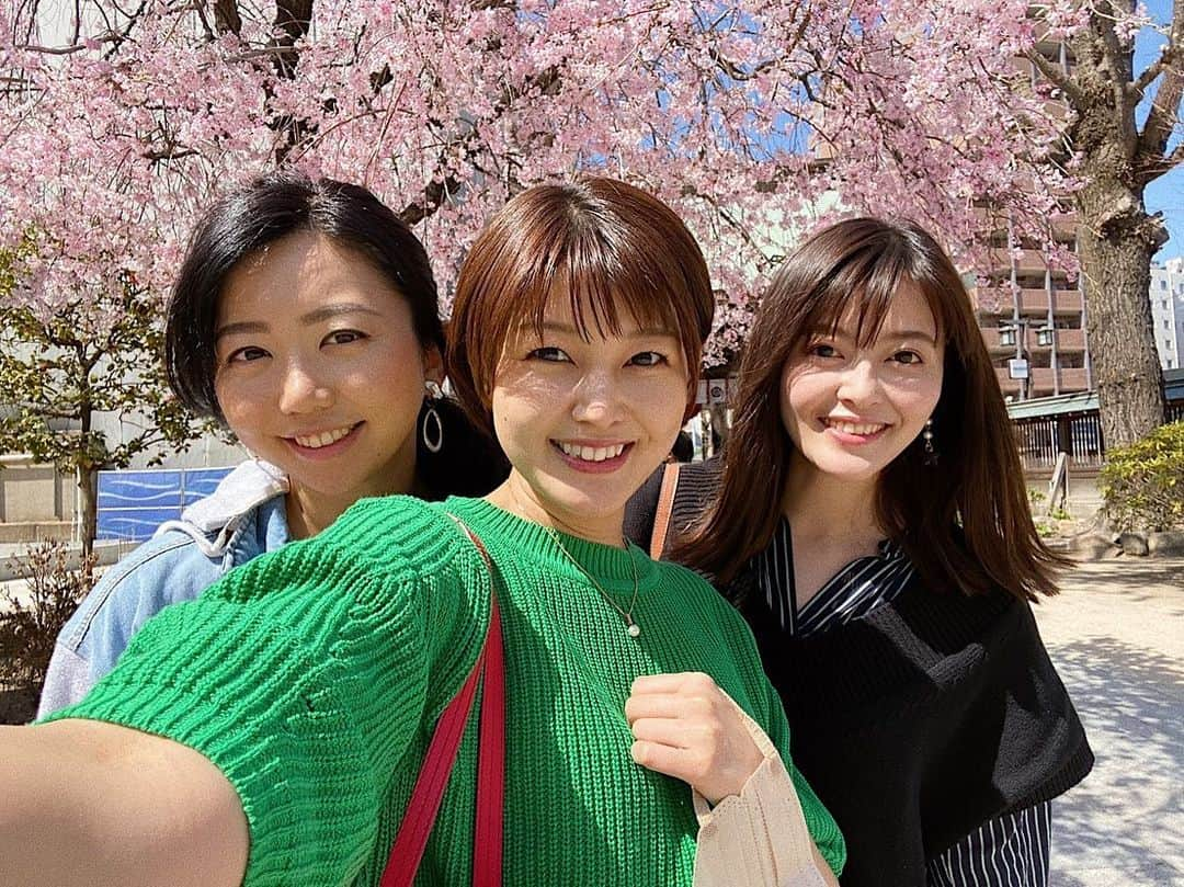 井上志帆子のインスタグラム：「#桜#櫛田神社#お櫛田さん#しだれ桜」