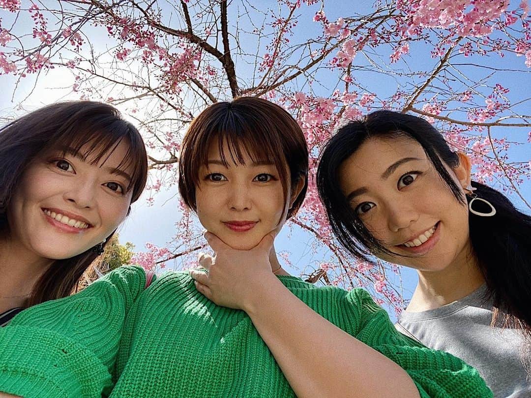 井上志帆子のインスタグラム：「いっぱい笑った〜 #桜#ズッ友#櫛田神社」