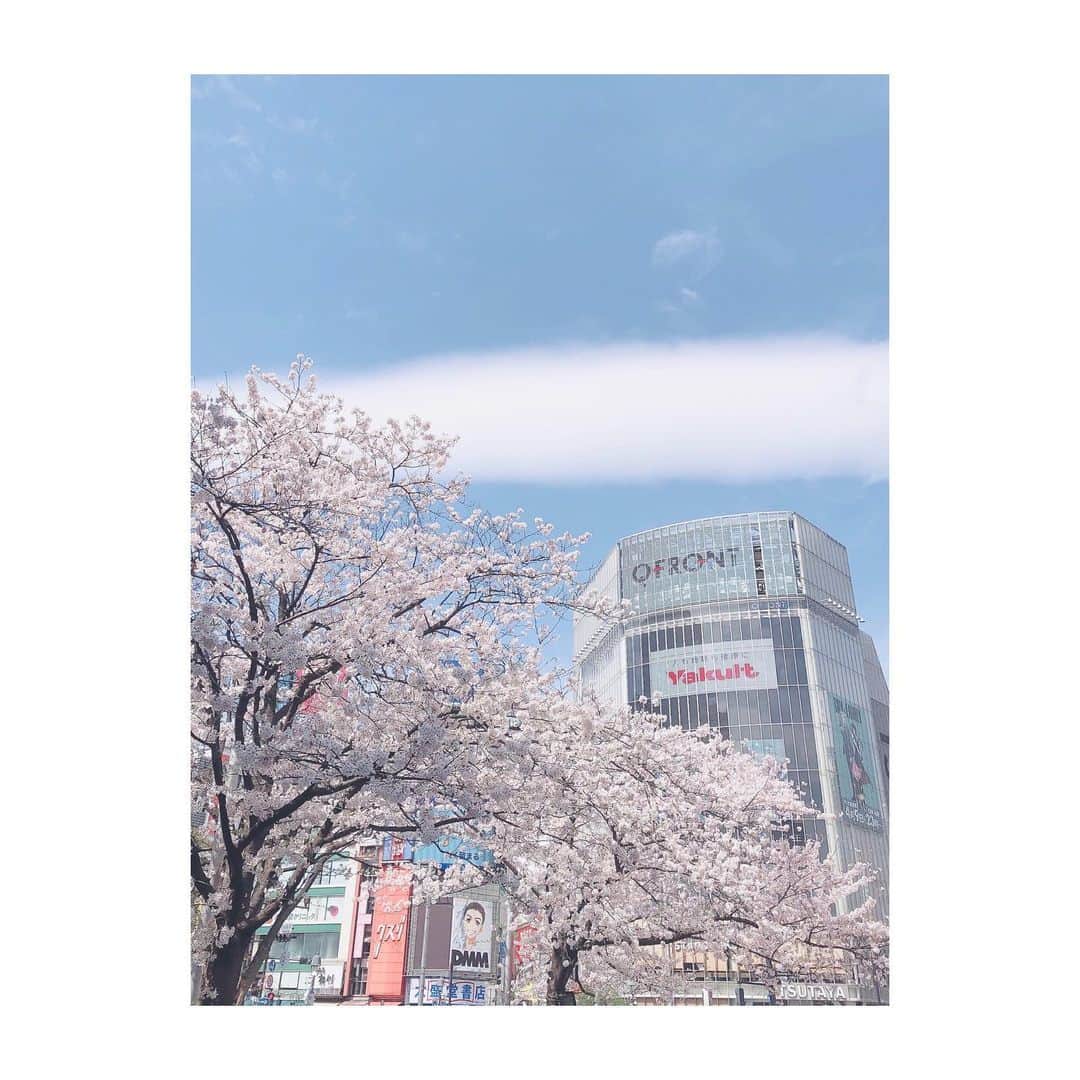花清まゆこさんのインスタグラム写真 - (花清まゆこInstagram)「in SHIBUYA 🏢  桜だー🌸って見上げたら、  すご〜い細長い  不思議な雲だったので、  思わず📷  #shibuya #渋谷　#桜　#雲　#空を見上げるのが好き #素敵　#春　#photography #photo  #sakura  #cherryblossom #さくら」3月28日 12時40分 - mayuusa610