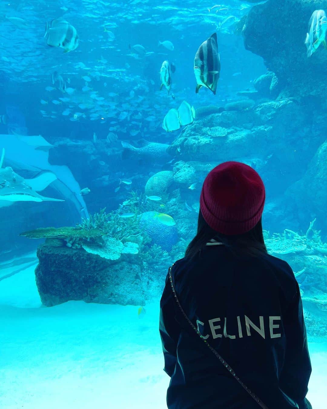 夢咲ゆめのインスタグラム：「. 🐠  新しい絵文字使いたくてアップデートしました 今週もがんばろなーん🫣」
