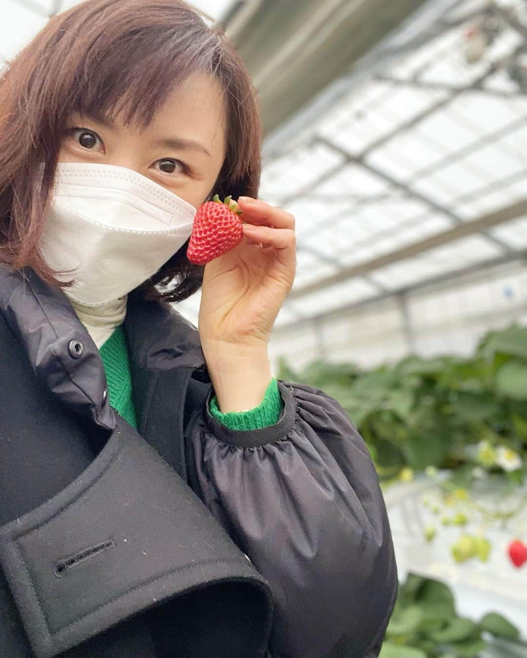 山口もえのインスタグラム：「・  春休みなので友達家族とイチゴ狩りに🍓 甘いイチゴでお腹も心も満たされたはずなのに 今度はしょっぱいものが食べたくなって ラーメンを食べに行きました🍜笑 人間ってもんは 限りなく欲深いのだ。  P.S  やさいの時間📺観てくれてありがとうございました♡  #家族#いちご狩り#🍓 #春休み #思い出 #甘いも #しょっぱいも #何事もバランスが大切でやんす #笑」