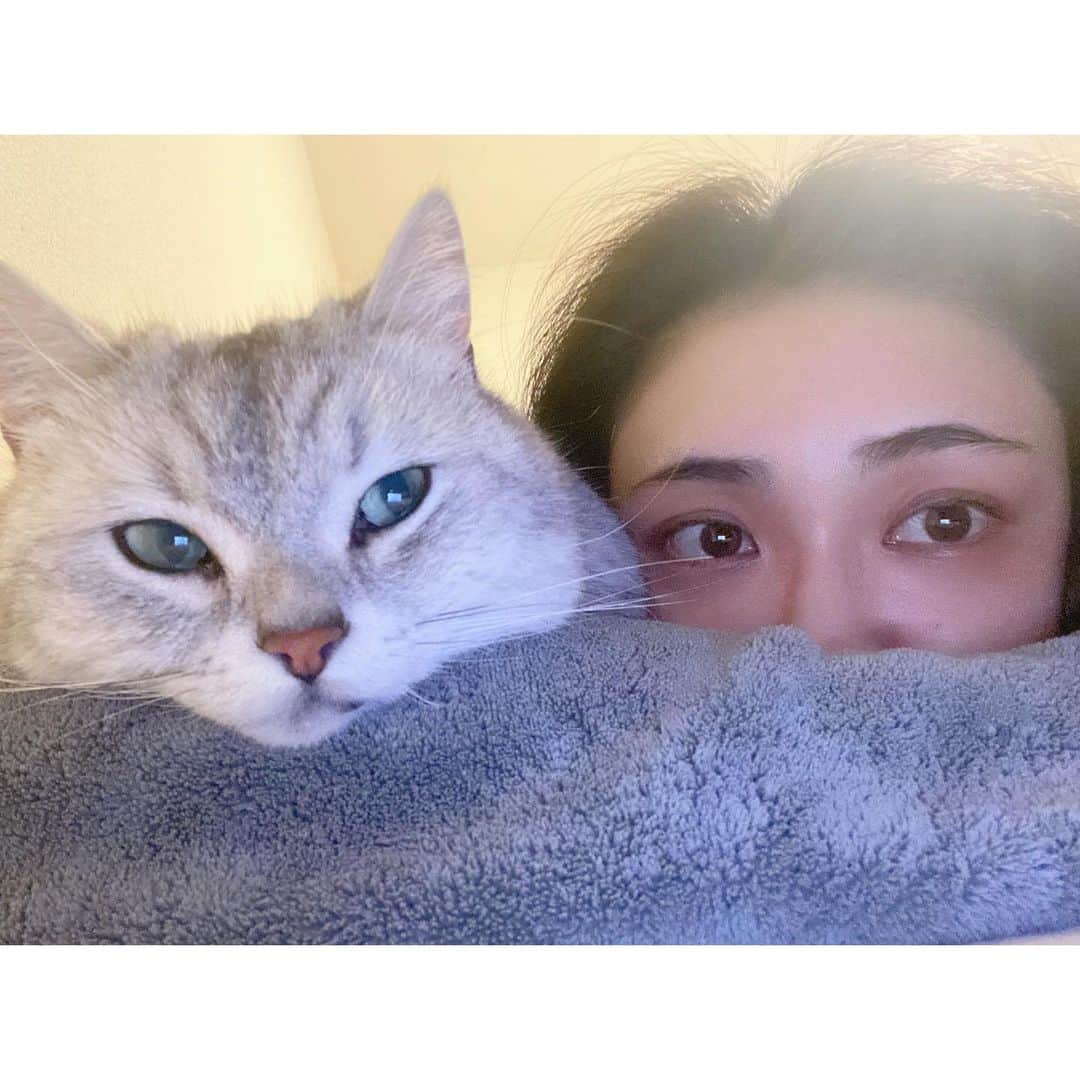 山谷花純のインスタグラム：「「行ってらっしゃい」という言葉は「行って無事に帰ってらっしゃい」という意味。  朝ごはんを作る。 湯船を溜める。 歯を磨く。 忘れ物がないか確認する。  よし、大丈夫。  「行ってきます」  この言葉を口にすると今の自分が抱く感情が自然と読み取れる。  行ってらっしゃい。 行ってきます。  当たり前になりがちな出来事。  ただきちんと考えたら物凄く特別で大切な時間の気がする。」