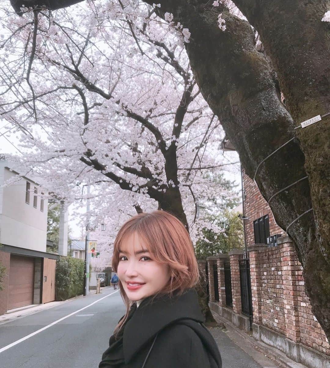 平子理沙さんのインスタグラム写真 - (平子理沙Instagram)「🌸🌸🌸今日は桜を見ながら、 散歩しました🌸🌸🌸🌸🌸💕  #1年に一度の楽しみ🌸#桜#cherryblossomtokyo#lifestyle#beauty#fashiom#risahirako」3月28日 18時23分 - risa_hirako