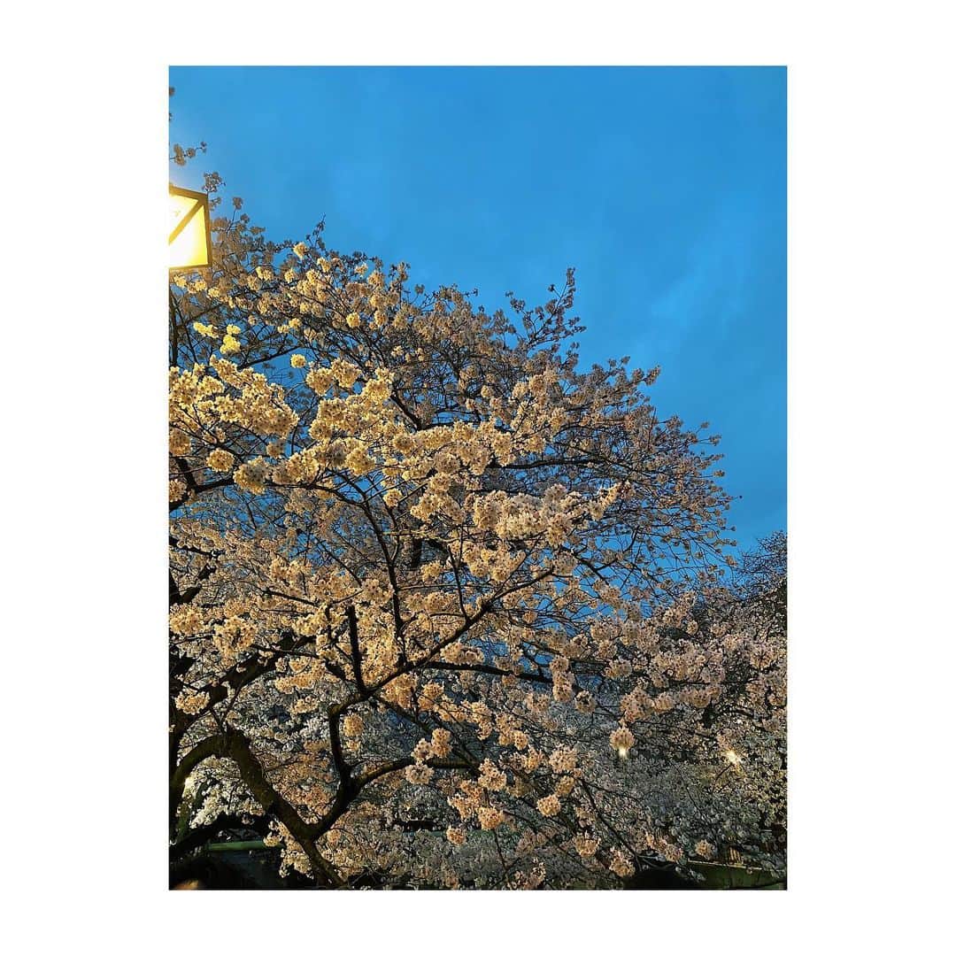 荒井愛花のインスタグラム：「最近の。🌸  あっという間に4月にもなるし、時の流れが早すぎてついていけない。。 今年気づけば30歳になります…驚 大人すぎるだろー。人生はや〜。笑  最近は親友の結婚式で温かさを感じたり、音楽や映画で脳を潤したり🌊 エンターテイメントって、改めて素敵だし、ナマモノの威力を再確認しています◎  これからも変わらず、しっとり楽しむぞ🫶」
