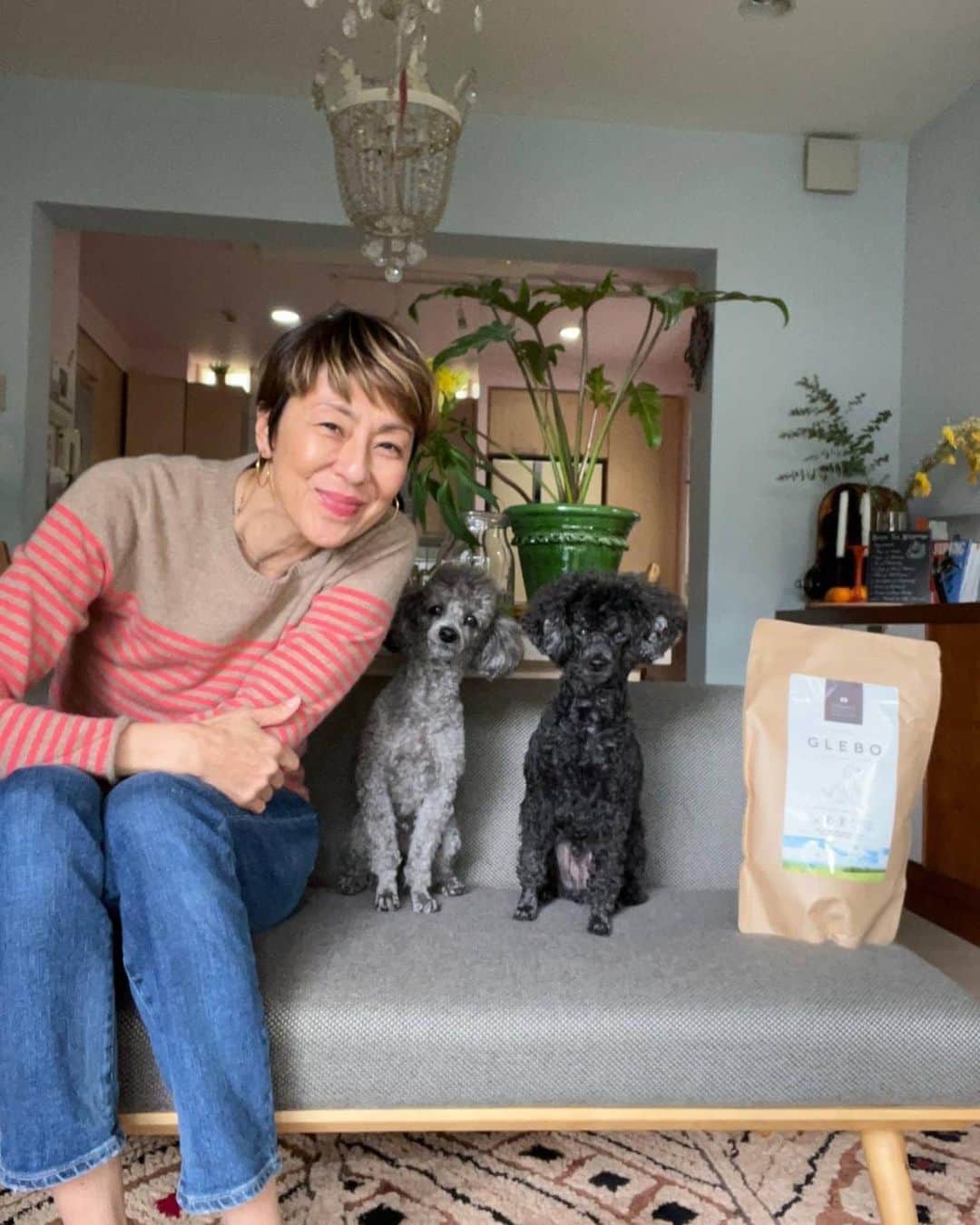 のインスタグラム：「. 我が家のノアグリ🐶🐶たちに嬉しいギフトがとどきました❣️ 人も食べられる新鮮で栄養豊富な 食材だけを使った グレボっていう素材と品質にこだわったドッグフード9つの無添加処方なので安心してあげられるふたりとも喜んで食べてくれます♥️  #グレボ  #GLEBO  #ドッグフード @glebo_official」