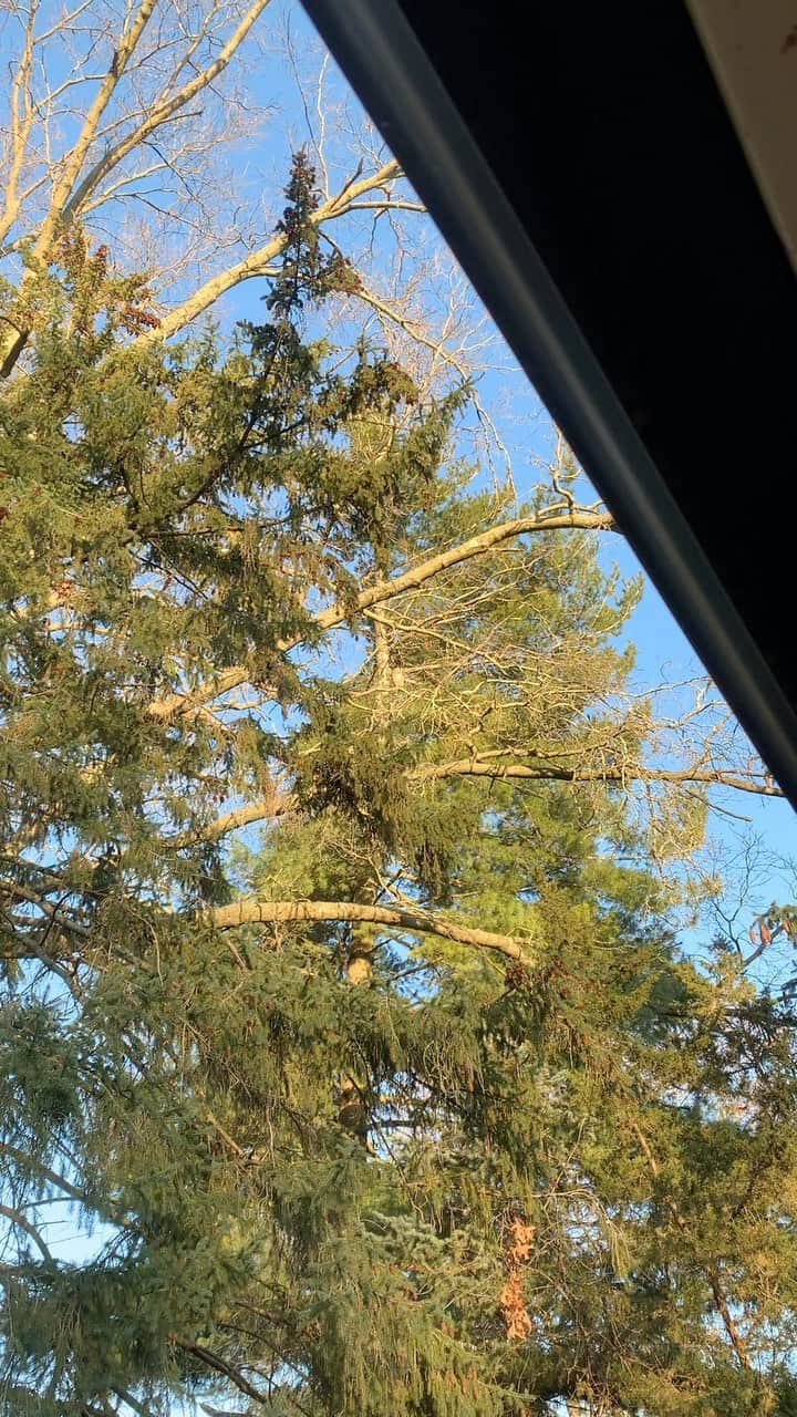 キーファー・ハベルさんのインスタグラム (キーファー・ハベルchiefkeifofreef)