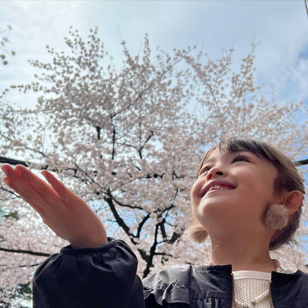 アレン明亜莉クレアのインスタグラム：「🌸  桜が満開ですね〜 とても綺麗だったので写真を撮りました〜  下からしか桜が映らない🤣 ちょっと大人っぽくなったように見えます〜 ４月から小学生かぁ🌸🌸🌸  ドキドキそわそわ…  素敵なお友達とたくさん 出会えますように〜🙏🤍  #桜 #桜2022    #girlsmodel #6歳 #kidsmodel #子どものいる暮らし #女の子コーデ  #インスタキッズ #ig_baby #ig_kids #子役  #ハーフキッズ #ママノワ #mixedkids #女の子モデル #ファッションモデル #ハーフ子役 #mamanokoカメラ部 #instagram_kids #insta_kids #ベビフル #コズレ  #ママリ #キッズフォト  #メアリーちゃん #アレン明亜莉クレア」