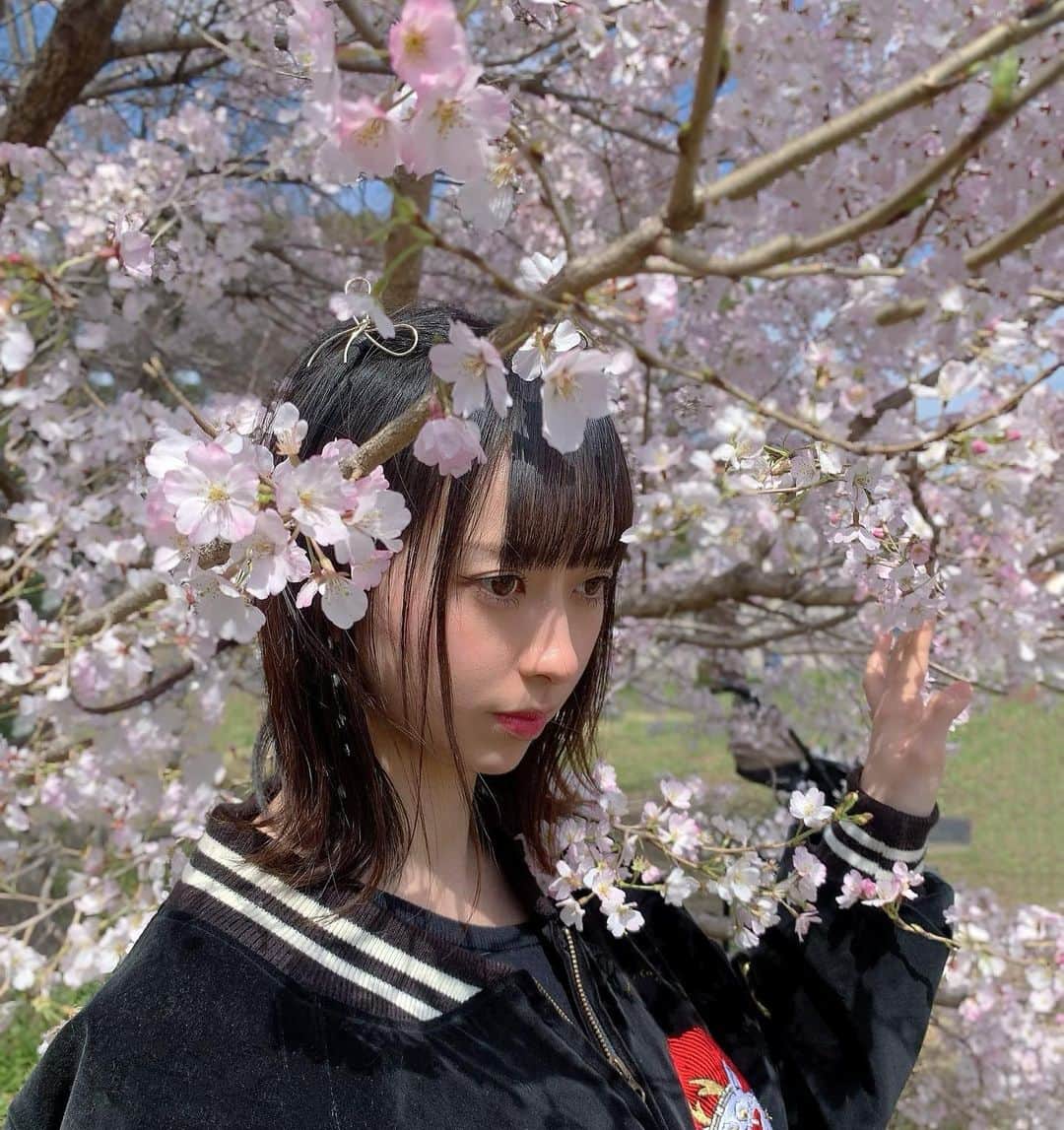 三嵜みさとさんのインスタグラム写真 - (三嵜みさとInstagram)「Spring🌸  春を見にいきました。  #上野公園 #桜 #miiramisato」3月28日 21時13分 - miiramisato
