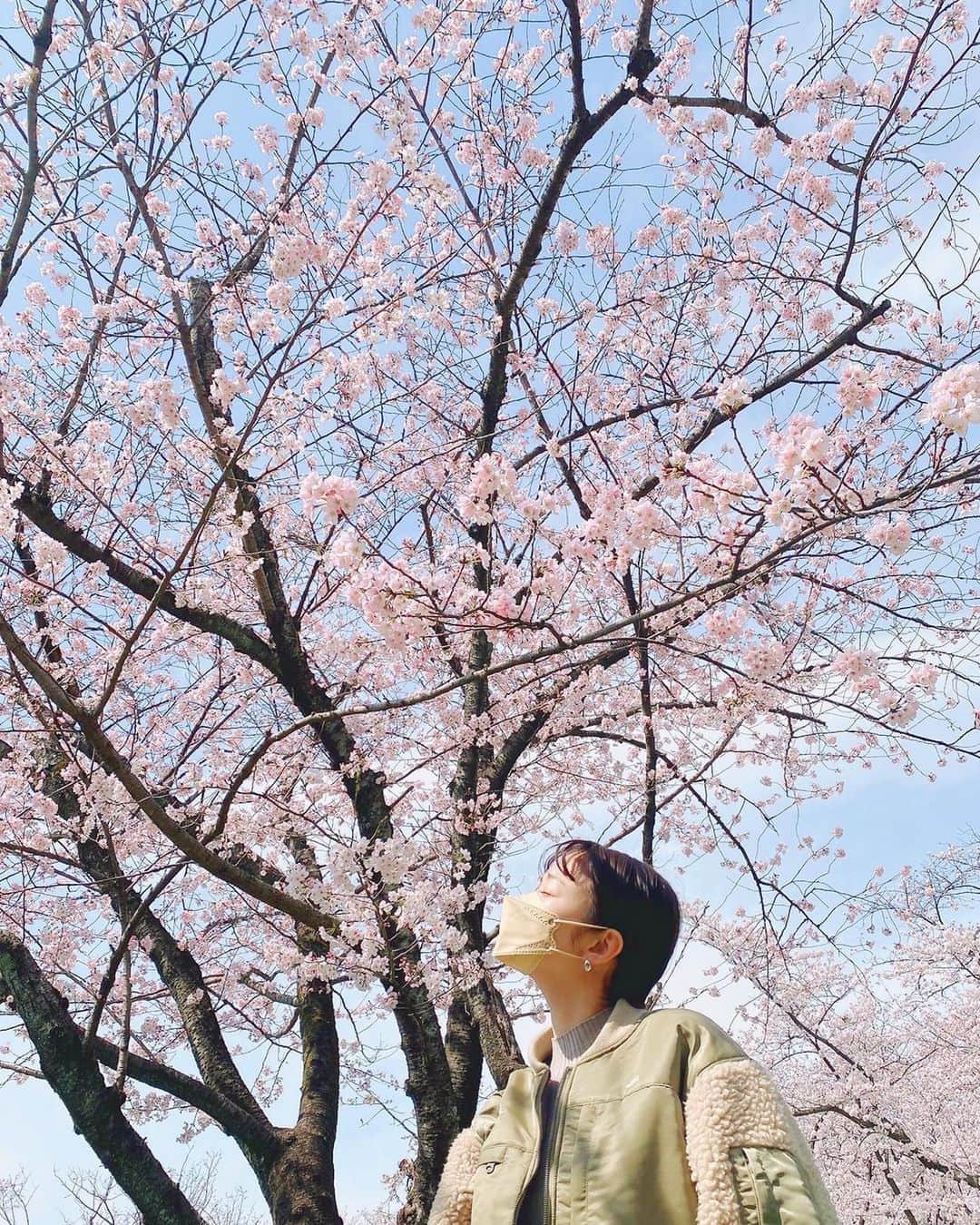 田原可南子のインスタグラム：「満開の桜ちゃんと見れて嬉しい☺️🌸」