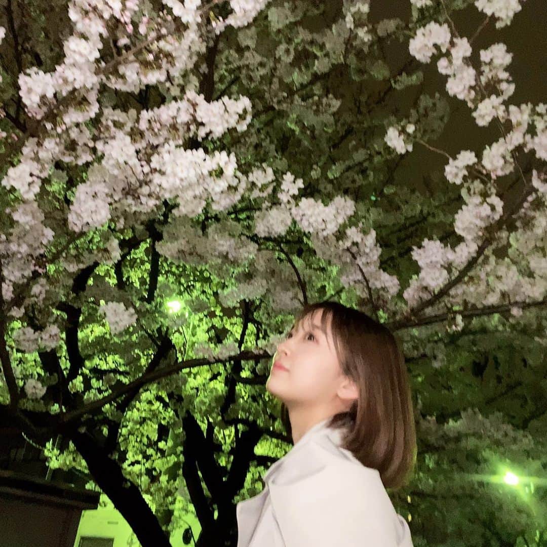 渡邉幸愛さんのインスタグラム写真 - (渡邉幸愛Instagram)「夜桜🌸」3月28日 23時51分 - koume_watanabe.official