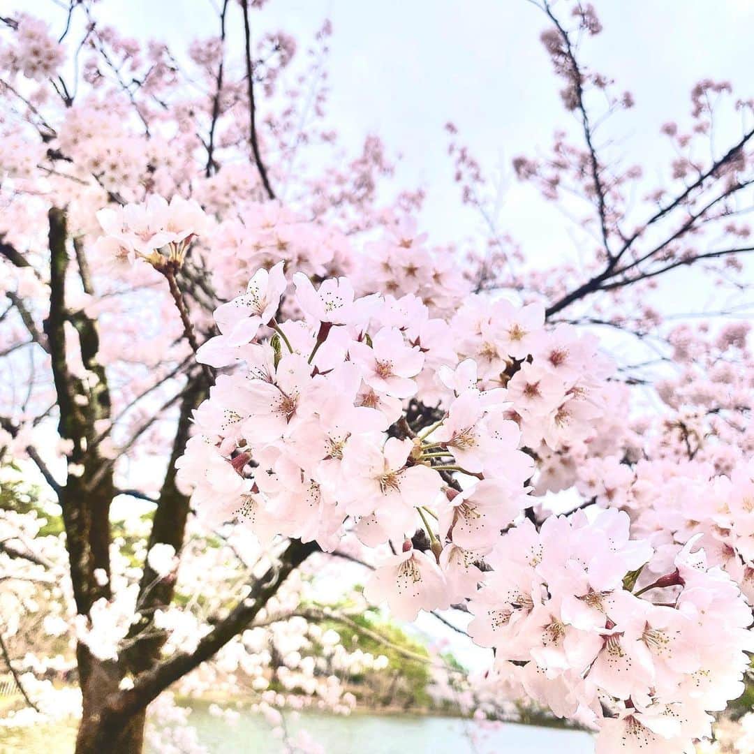 YUINAさんのインスタグラム写真 - (YUINAInstagram)「やっぱ春って好きだなぁ🌸💭」3月29日 11時35分 - y_i_n35