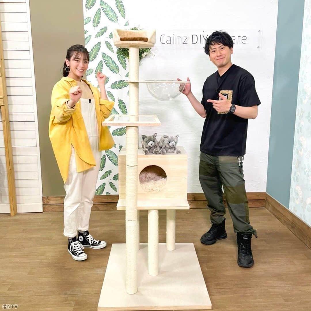 ZIP!さんのインスタグラム写真 - (ZIP!Instagram)「🥺念願のキャットタワー完成🗼🐈🐈  #ZIP特集 #健二郎DIY #キャットタワー #貴島明日香  #山下健二郎 #ZIP!」3月29日 7時32分 - ntvzip