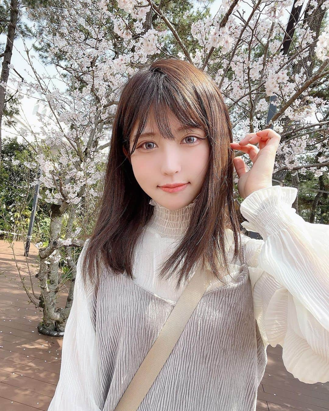 猫田あしゅさんのインスタグラム写真 - (猫田あしゅInstagram)「桜きれいだね🌸 . . @andrabbit_official  . #andrabbit #ワンピース #シフォントップス #springfashion #春コーデ #春先取りコーデ コーデ#fashion #ヘアアレンジ #春服 #毎日コーデ  #ホワイトコーデ  #服 #アパレル#hairstyle #モノトーンコーデ #デート服  #selfie #hair #code  #ブラウス #ファッション #コーデ #シャツ #shortstyles  #ootd #ootdfashion  #シフォンブラウス  #アクセサリー  #春メイク  #コスメ」3月29日 9時29分 - nekota_ashu