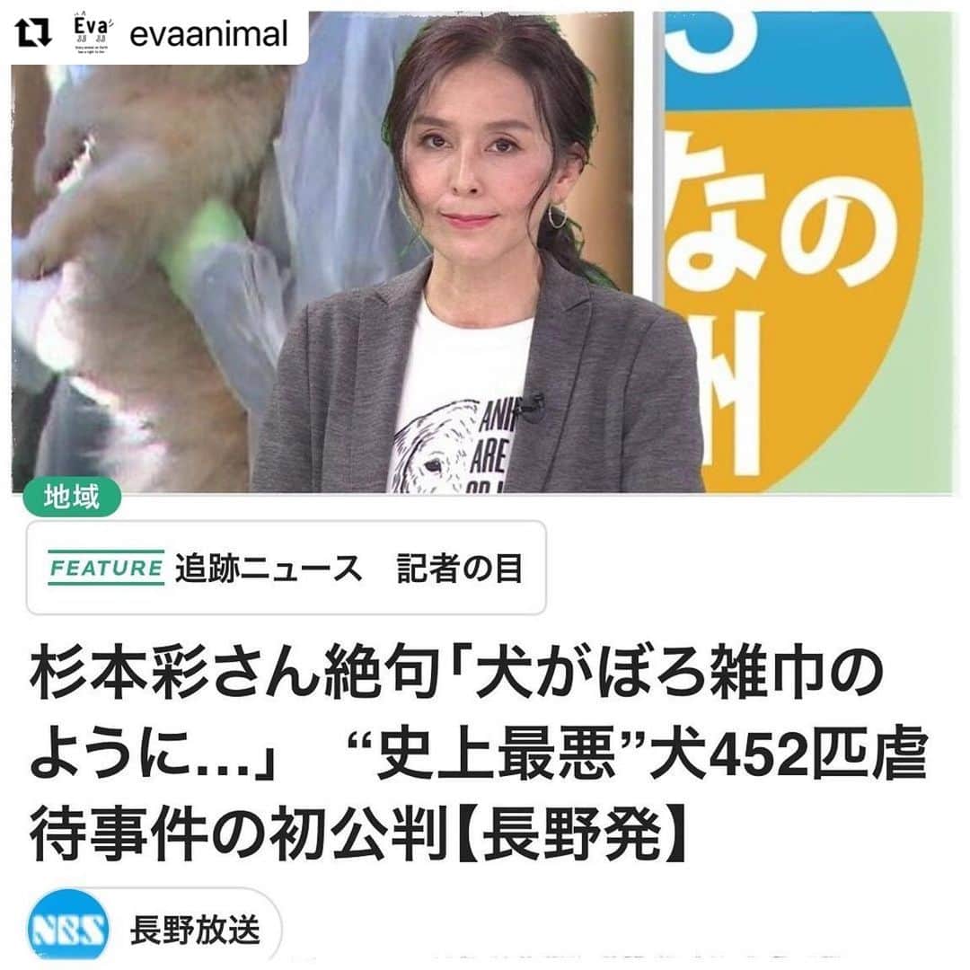 杉本彩さんのインスタグラム写真 杉本彩instagram 以下 Evaをrepost 記事は このストーリーとハイライトのリンクからもご覧いただけます Repost Evaanimal With Make Repost 先日傍聴した長野県松本市の犬虐待事件の初公判のあと 長野放送夕方の