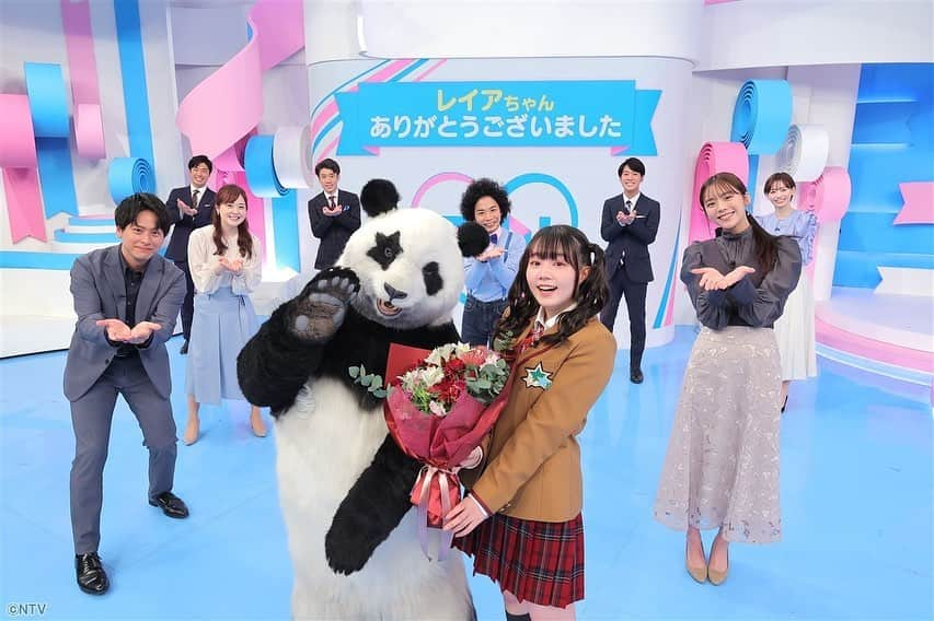 ZIP!さんのインスタグラム写真 - (ZIP!Instagram)「Happy Graduation💐 🐼「星星のベラベラENGLISH」のレイアちゃんが きょうの放送で卒業となりました🥺  これまでに英語も上達しましたね😆 星星とのコンビもサイコーでした🐼👧🏻  レイアちゃん、またスタジオに遊びに来て下さいね❗️ Thanks a million 🤗  #レイア #ずっとずーっとZIPファミリーです #米倉れいあ  #星星のベラベラENGLISH #星星 🐼  #山下健二郎 #水卜麻美 #佐藤義朗 #山﨑誠 #石川みなみ #北脇太基 #貴島明日香 #くぼてんき #ZIP!🎀」3月29日 10時10分 - ntvzip