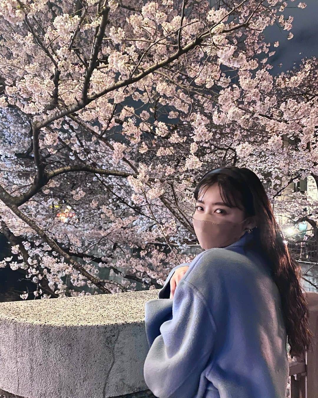 夏焼雅のインスタグラム：「夜桜もステキ〜🌸 今年も見れて良かった🥹✨  #中目黒  #目黒川  #夜桜」