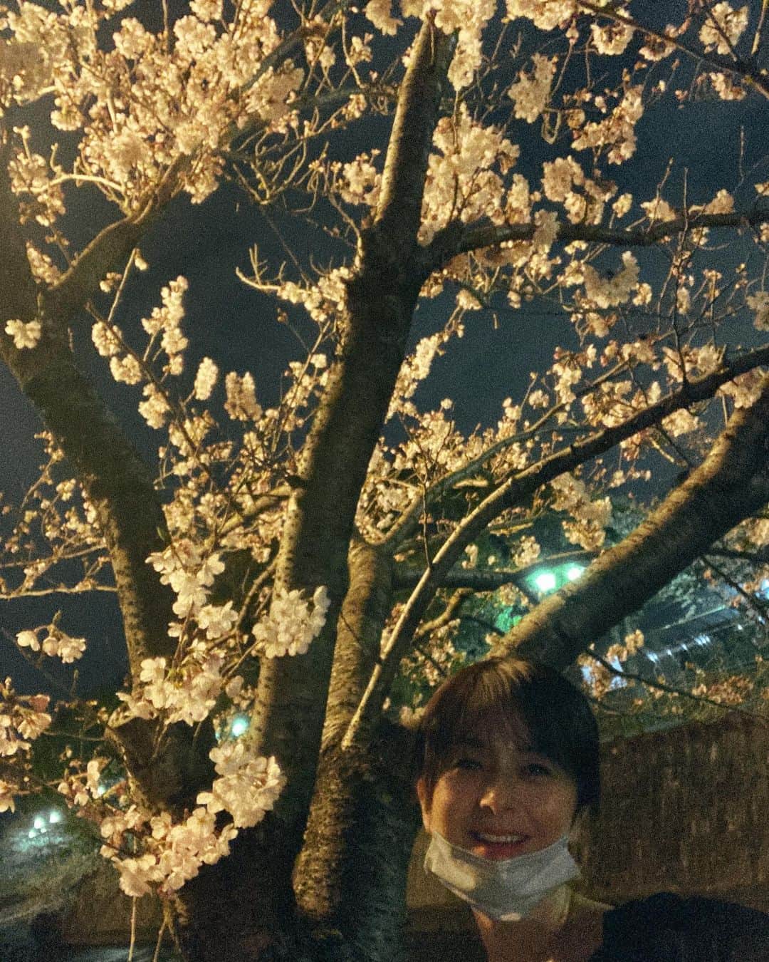 のインスタグラム：「昨日の夜✨  「明日から天気がイマイチっぽいけど夜桜ならあまりお天気関係ないから行ってみる🌸？」っとお友達🤩 「行きます🌸 行けます🌸 行きたいです🌸🤩」っと私😁🌸  すこ〜しだけ走って🚗 連れて行って頂きました😄🤲 チラッと眺める・・🌸✨  春は楽しい🌸🌸🌸」