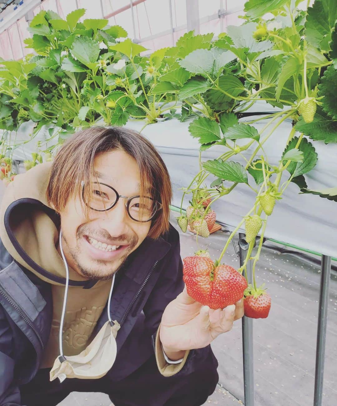 橋本和さんのインスタグラム写真 - (橋本和Instagram)「体験農園みとかさんへいちご狩りに…  今までの人生で一番でかいイチゴに出逢えた！  美味しいのはもちろんやけど  何よりも体験に勝るものなしやな～と  ぜひ現地に足を運んで体験を。  メモリアルセンターにも  #mitoca #体験農園みとか #fcgifu #fc岐阜 #スポンサー #応援ありがとうございます #こちらこそ #応援したくなりました #ヤギさんもいるよ #まだまだ頑張ります #wataru4」3月29日 14時06分 - wataru__hashimoto