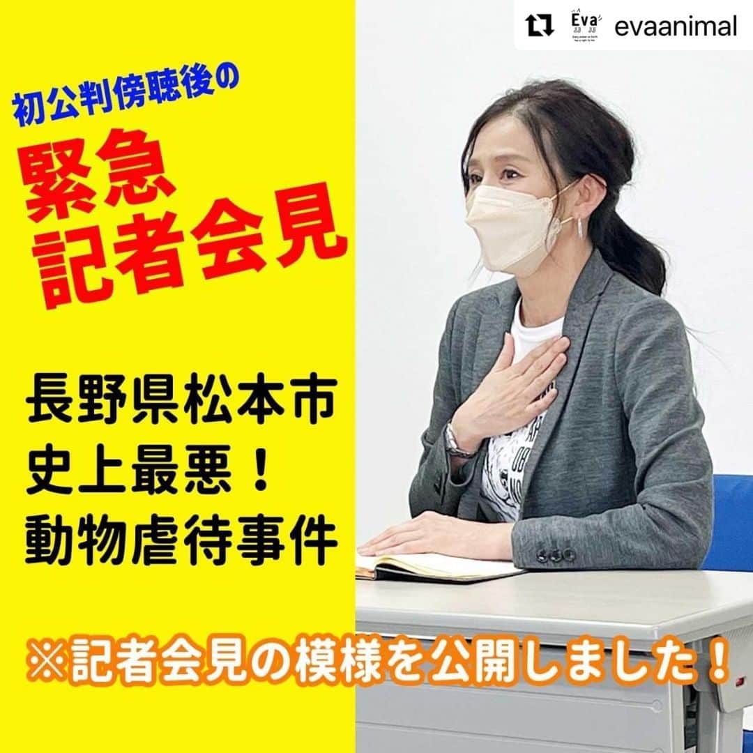 杉本彩のインスタグラム：「私のストーリーとハイライトにもリンクを貼りましたので、記者会見ご覧いただけます。  以下はEvaをrepost！   ↓↓↓  #Repost @evaanimal with @make_repost ・・・ 3月16日、長野地方裁判所松本支部にて行われました「アニマル桃太郎 初公判」を傍聴した後の記者会見の模様を、ほぼフルバージョンで公開いたしました。 是非ご覧ください。  ■【緊急記者会見】長野県松本市 史上最悪！動物虐待事件「初公判傍聴後の記者会見」 https://youtu.be/b608Rch7O58 ＜プロフィールにてご確認頂けます＞  #アニマル桃太郎 #長野県松本市動物虐待事件 #長野県松本市災害レベルの動物虐待事件 #Evaチャンネル #杉本彩 #動物環境福祉協会Eva」