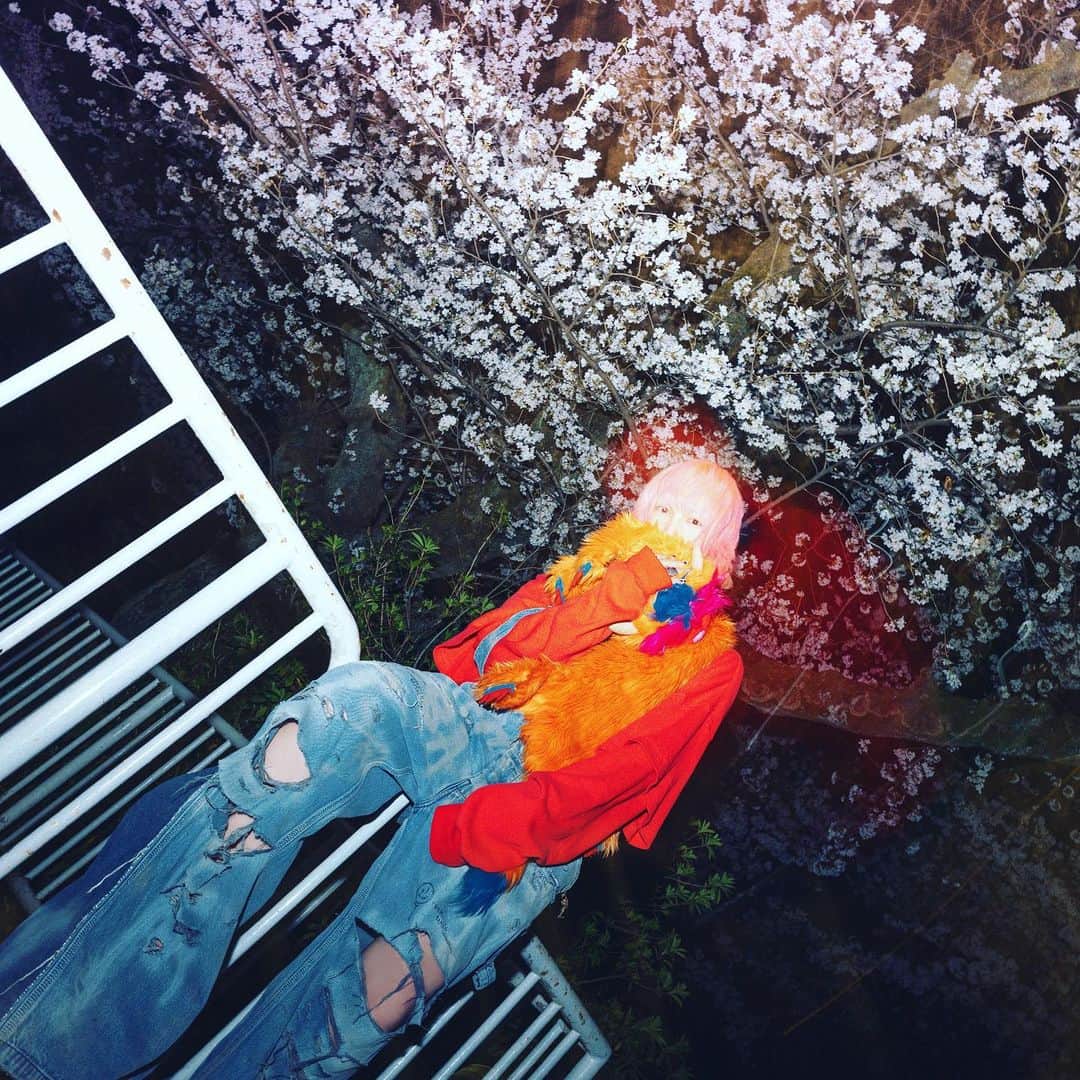 のインスタグラム