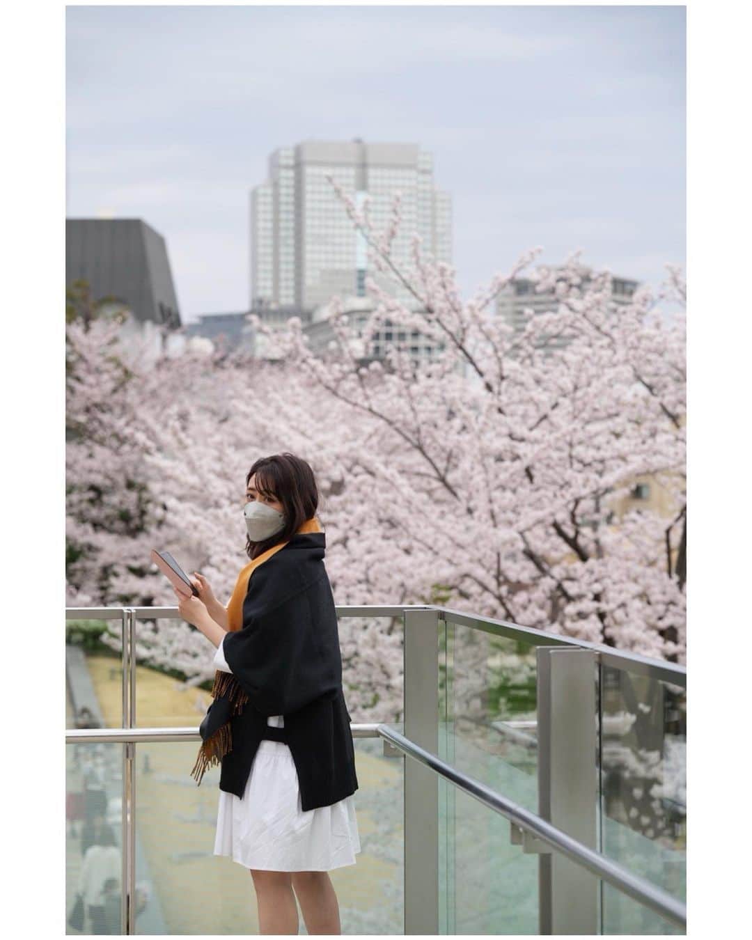 のインスタグラム：「日本は今、桜が満開🌸🇯🇵  #さくら　#桜　#sakura」
