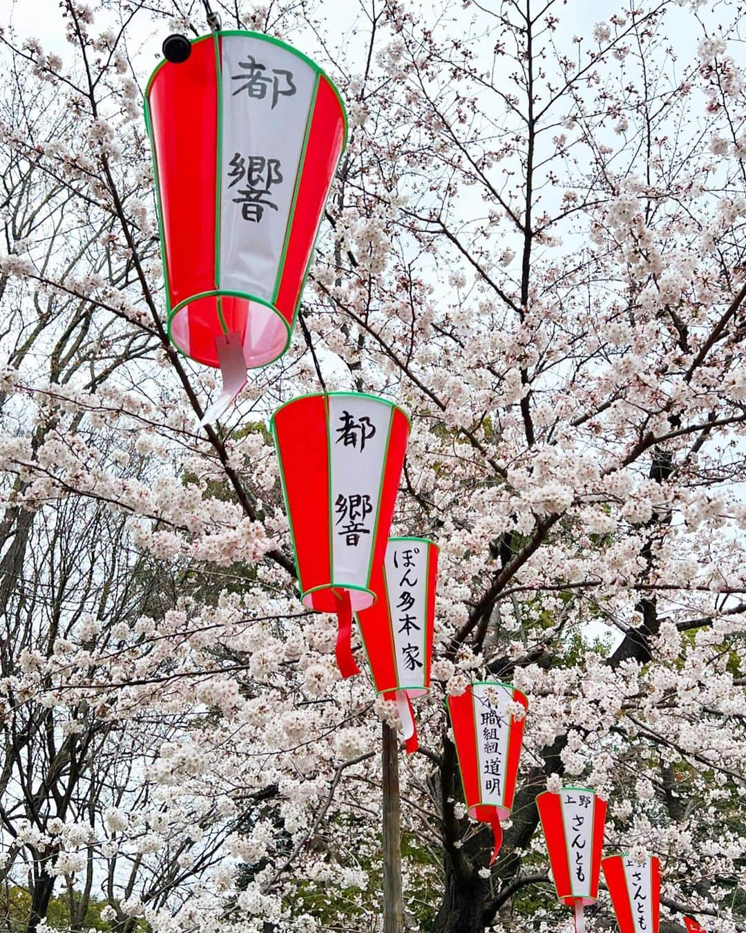 佐野真彩さんのインスタグラム写真 - (佐野真彩Instagram)「桜の名所 #上野恩賜公園  へ🌸 初めて行きましたがとっても綺麗でした☺️🌸✨みなさんはもう桜を愛でましたか？  今日はスタジオ21TODAY ニュース担当日です。 いってきます✊  #桜2022 #上野公園」3月29日 14時50分 - sano.maya