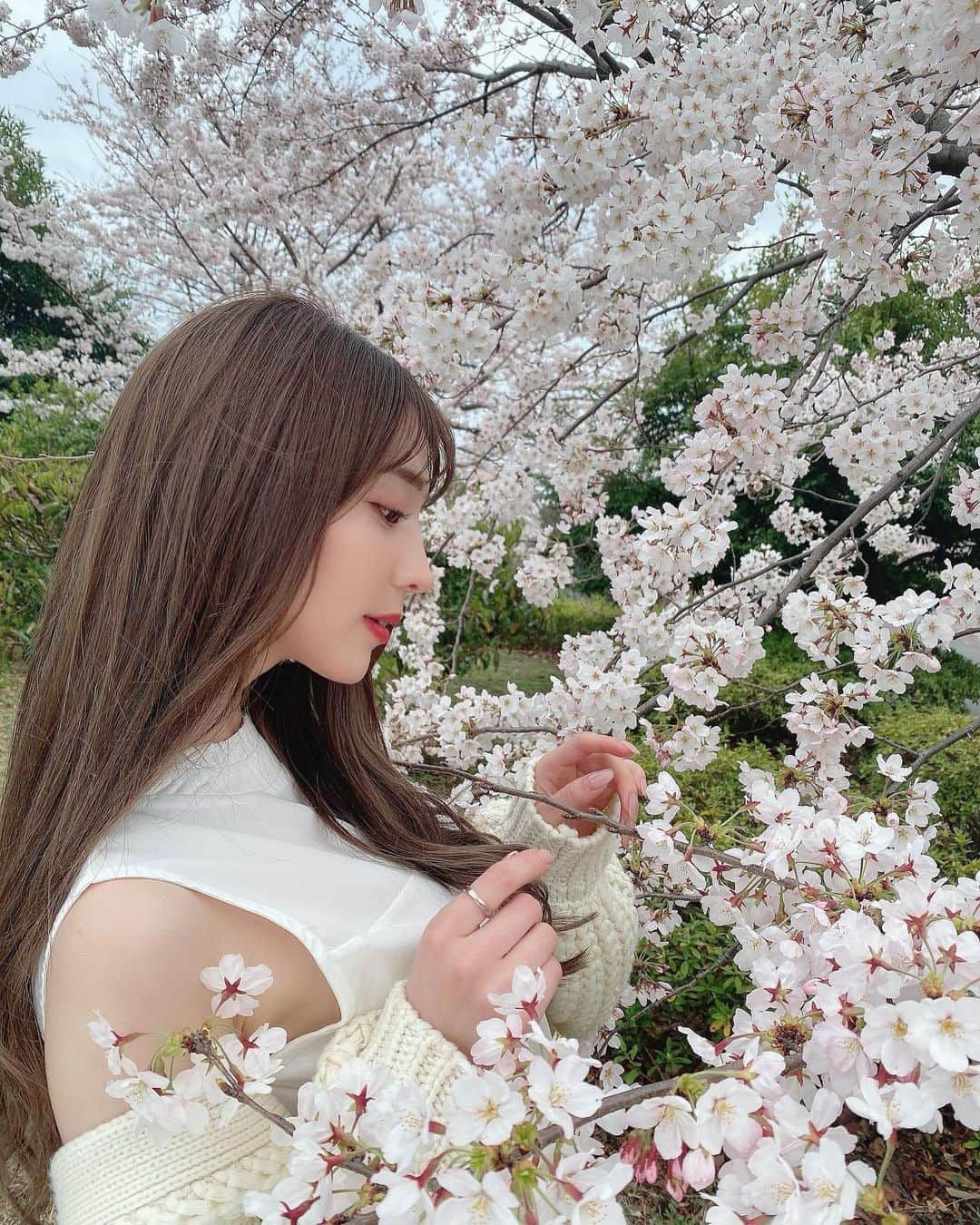 堀尾実咲のインスタグラム：「今年初桜☺️🌸  春ってやっぱりいいね🍀  大好きな季節...🐣👒  #桜 #さくら #サクラ #お花見 #花見 #お花見デート #お花見コーデ #大島小松川公園 #小松川公園 #cherryblossom」