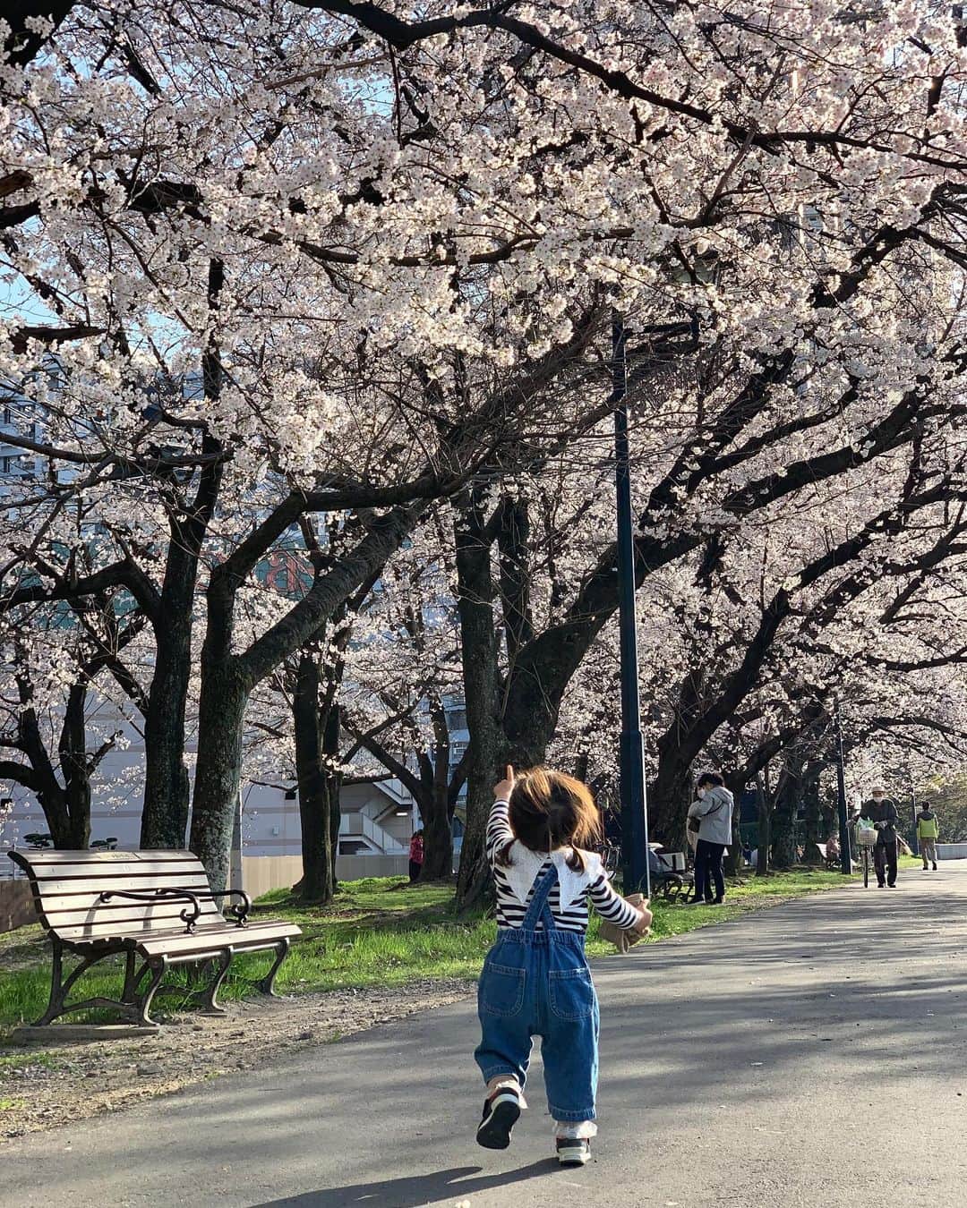 森直美のインスタグラム：「去年の今頃はハイハイすらしてなかったのに今年は桜を見つけて小走りするようになりました👶🏻1日1日の偉大さよ。  広島は満開です🌸 たくさんお花見しよう🍺🥤  #1歳5ヶ月#桜#満開#広島ママ」