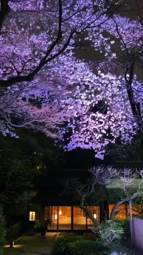 八芳園のインスタグラム