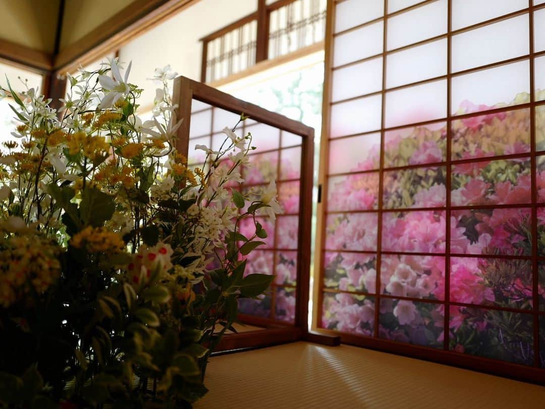 安田美沙子さんのインスタグラム写真 - (安田美沙子Instagram)「京都の「光明院」「霊鑑寺」へ行って来ました✨  光明院では、フラワーアーティスト 越智康貴 さんのお花が部屋を彩り、その向こうには、美しいお庭が。。  写真を撮るのはもちろん、お花の中に身を置いて庭を眺め無になってみる。  今しかない世界をあじわえたのでした💐 他の寺院もそれぞれの花のイメージが違うそう✨そちらも行ってみたいです☺️✨  霊鑑寺では期間限定で、白根ゆたんぽさんのオリジナル花御朱印が頂けました🌺  椿が有名な霊鑑寺の中でも、 京都市天然記念物という美しい椿が描かれています✨  数えきれない椿、さまざまな種類の椿、落ちているようすもまた、 どこをとっても美しい。。。  他の社寺もそれぞれを象徴するお花が御朱印に描かれているみたいです！ 花御朱印は事前予約がいるそう✨詳しくは「花咲く京都」特設サイトをご覧ください。   https://souda-kyoto.jp/other/hanasaku/    @soudakyoto_official @komyoin #そうだ京都行こう #花咲く京都 #京都 #花の間 #花御朱印  #東福寺光明院  #霊鑑寺　#PR」3月29日 18時57分 - yasuda_misako