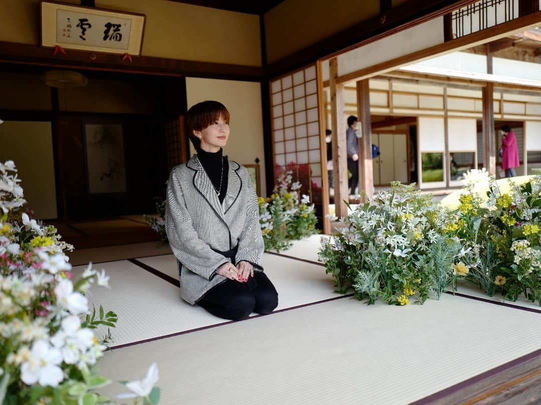 安田美沙子さんのインスタグラム写真 - (安田美沙子Instagram)「京都の「光明院」「霊鑑寺」へ行って来ました✨  光明院では、フラワーアーティスト 越智康貴 さんのお花が部屋を彩り、その向こうには、美しいお庭が。。  写真を撮るのはもちろん、お花の中に身を置いて庭を眺め無になってみる。  今しかない世界をあじわえたのでした💐 他の寺院もそれぞれの花のイメージが違うそう✨そちらも行ってみたいです☺️✨  霊鑑寺では期間限定で、白根ゆたんぽさんのオリジナル花御朱印が頂けました🌺  椿が有名な霊鑑寺の中でも、 京都市天然記念物という美しい椿が描かれています✨  数えきれない椿、さまざまな種類の椿、落ちているようすもまた、 どこをとっても美しい。。。  他の社寺もそれぞれを象徴するお花が御朱印に描かれているみたいです！ 花御朱印は事前予約がいるそう✨詳しくは「花咲く京都」特設サイトをご覧ください。   https://souda-kyoto.jp/other/hanasaku/    @soudakyoto_official @komyoin #そうだ京都行こう #花咲く京都 #京都 #花の間 #花御朱印  #東福寺光明院  #霊鑑寺　#PR」3月29日 18時57分 - yasuda_misako